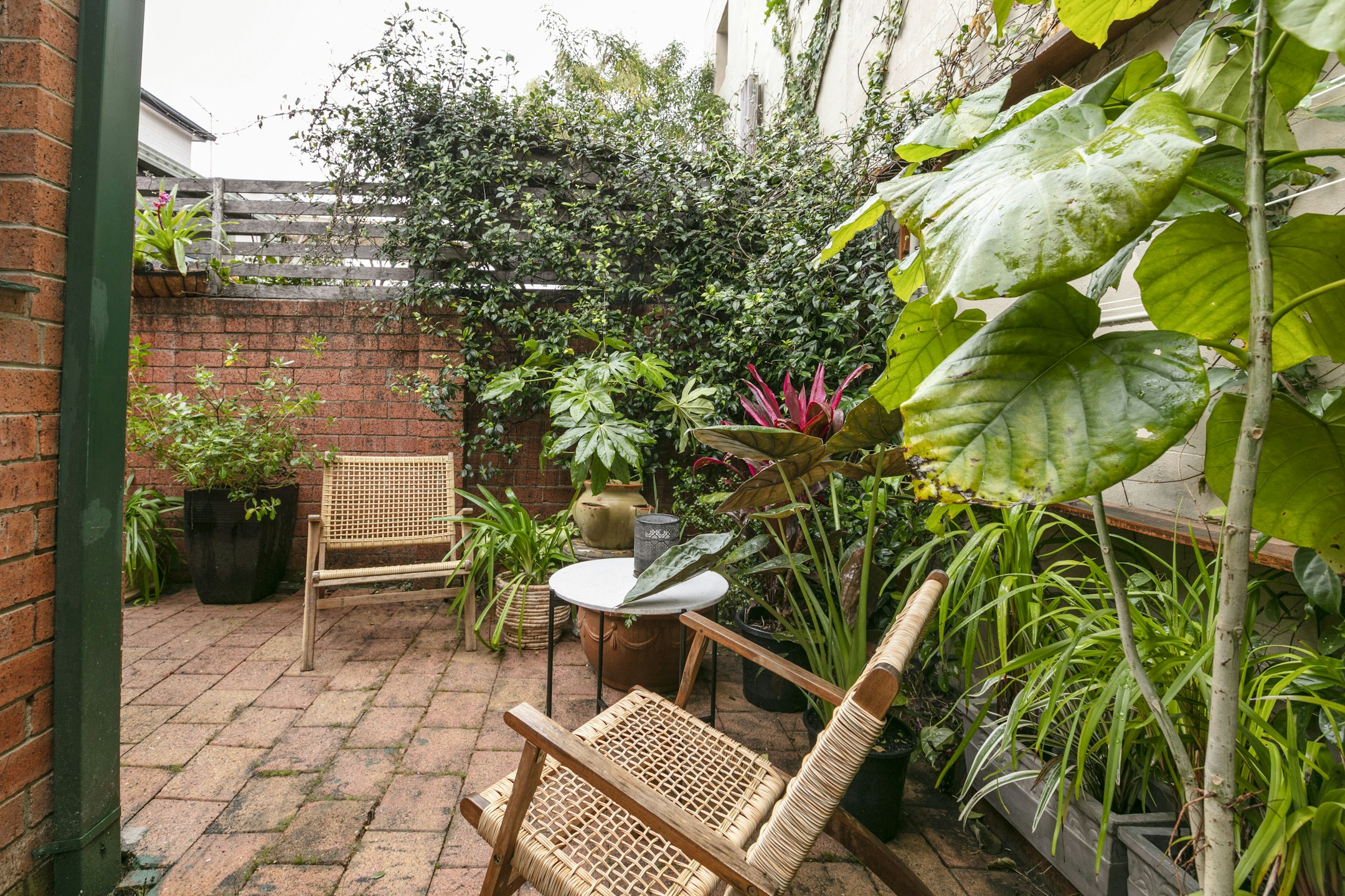 garden