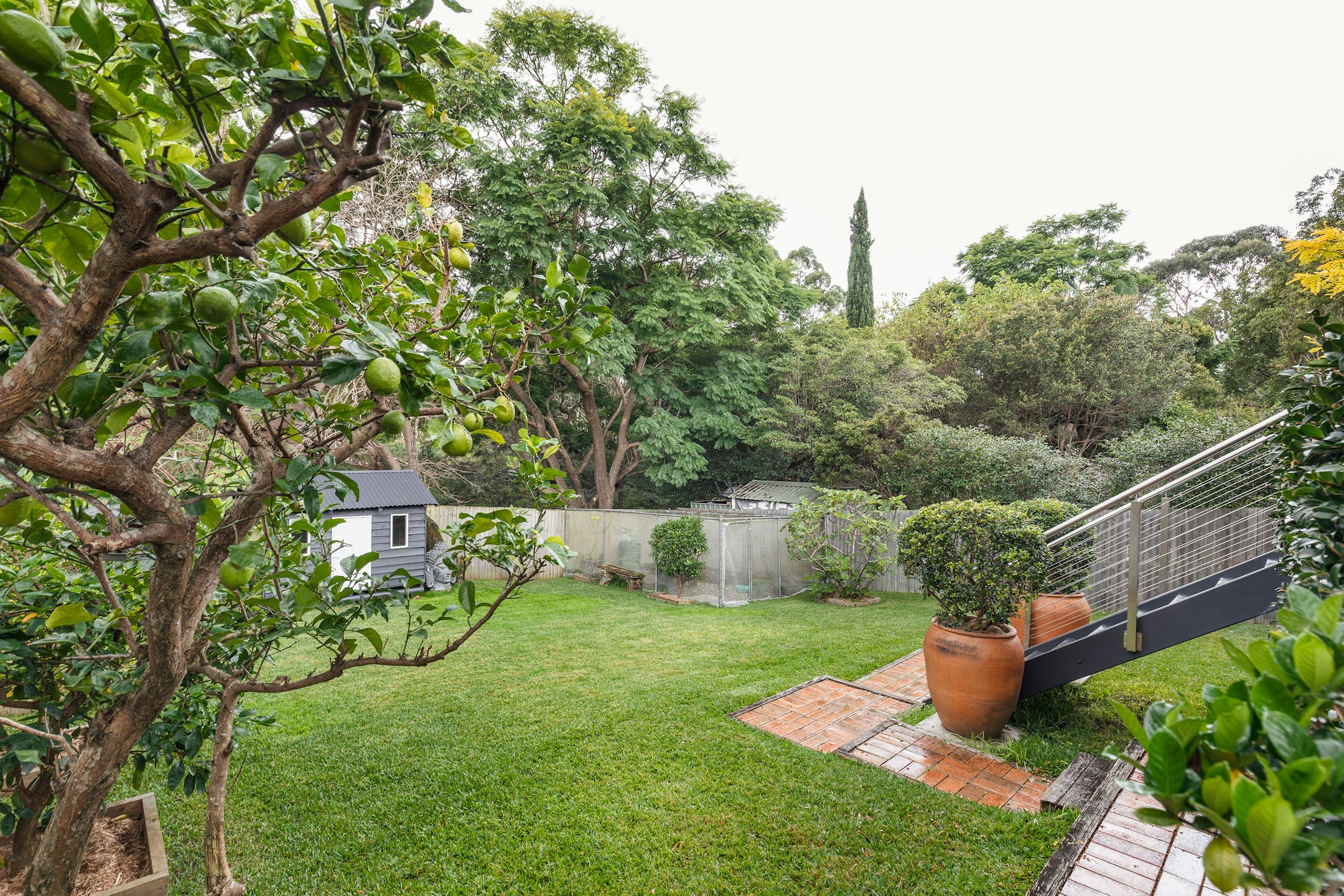 backyard