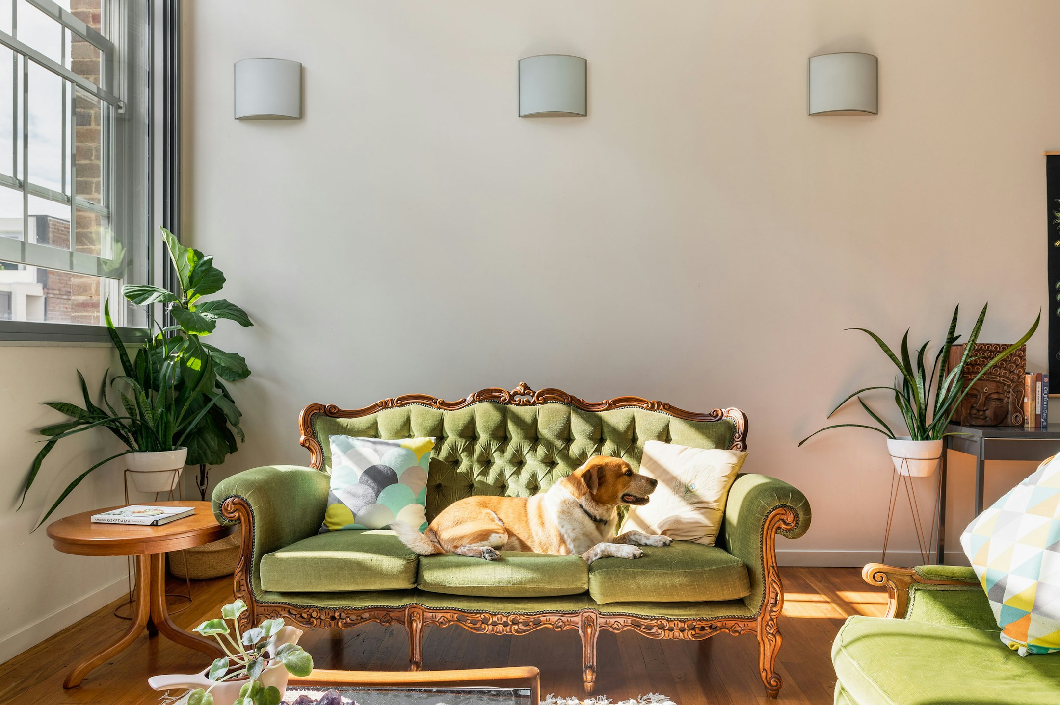 furniture