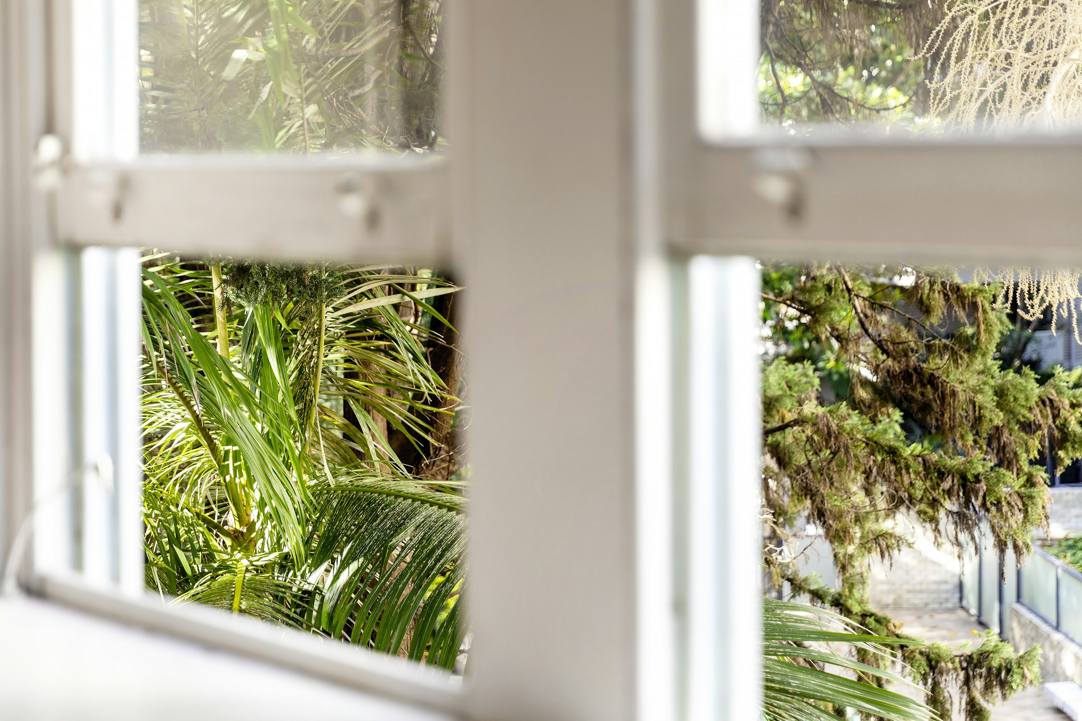 window