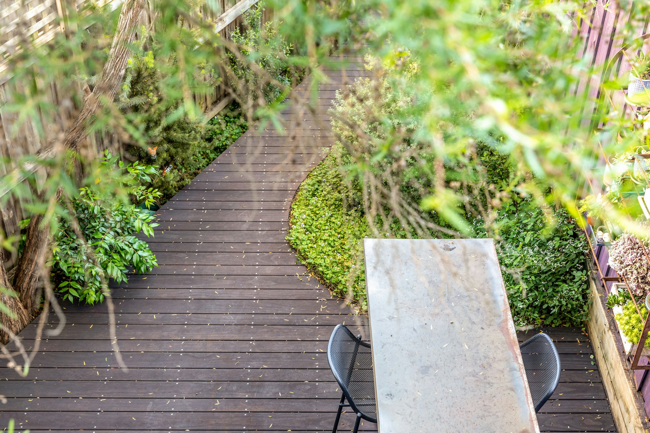 garden