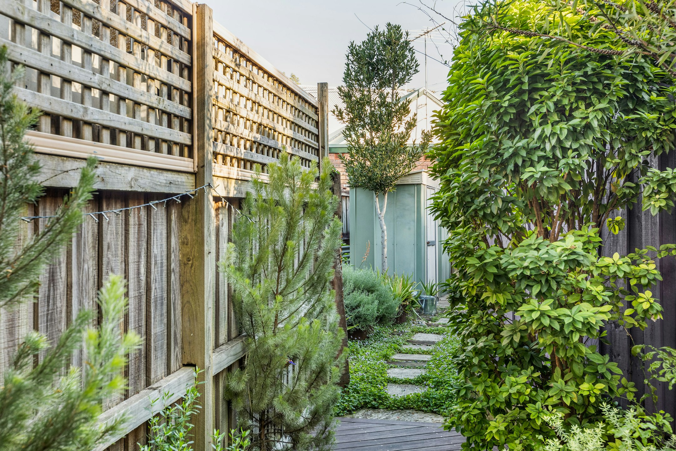 garden