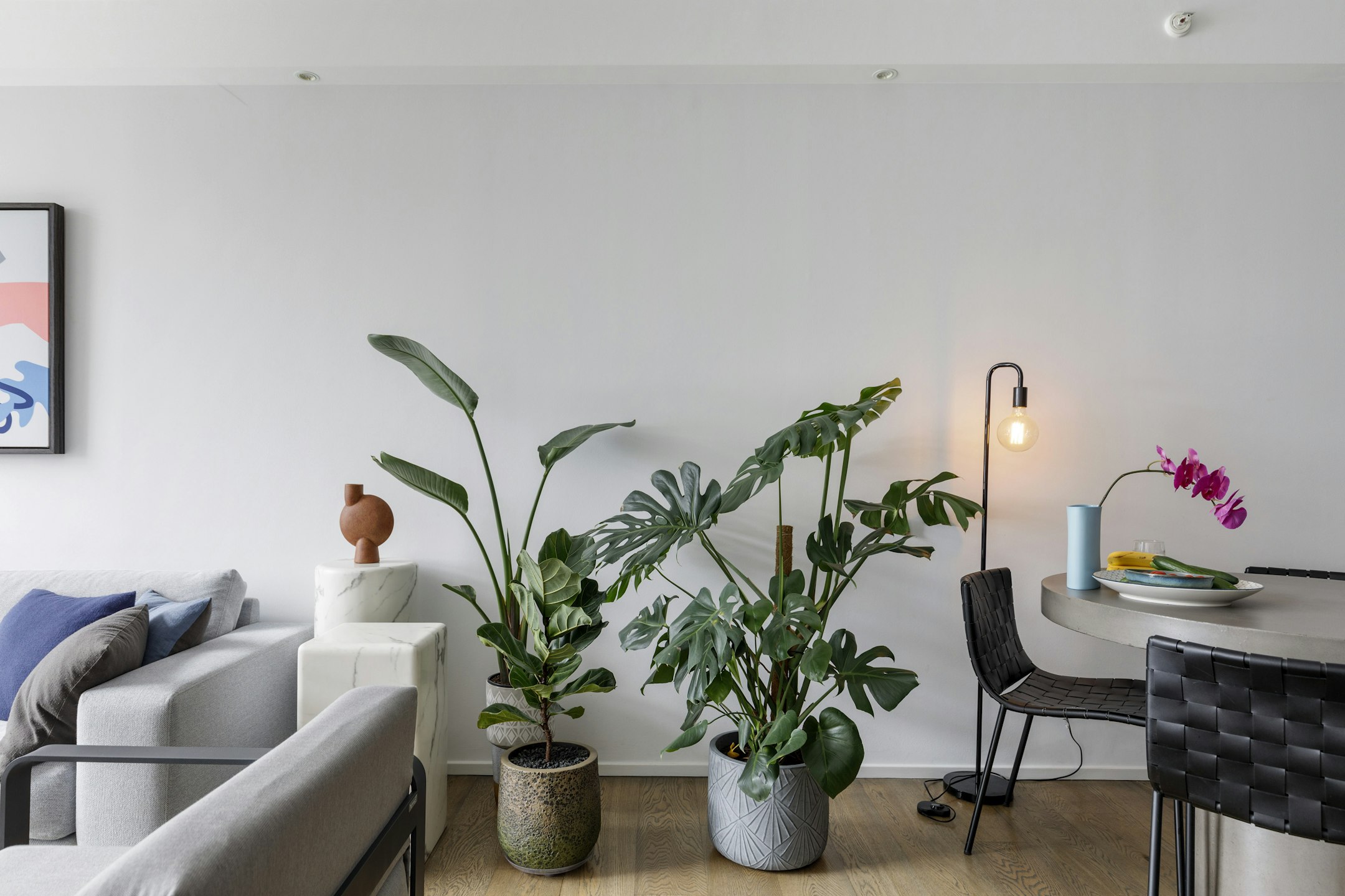 furniture