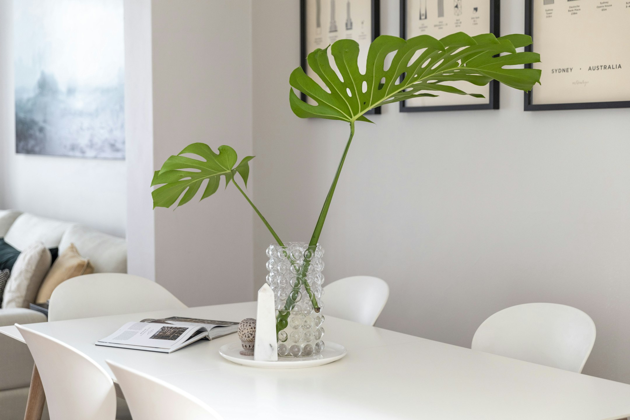 plant