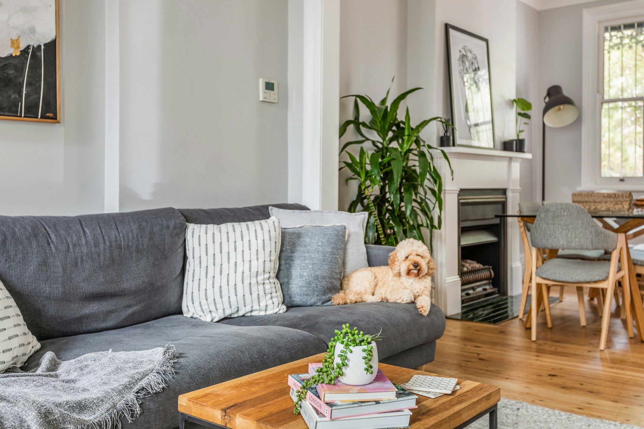 interior design