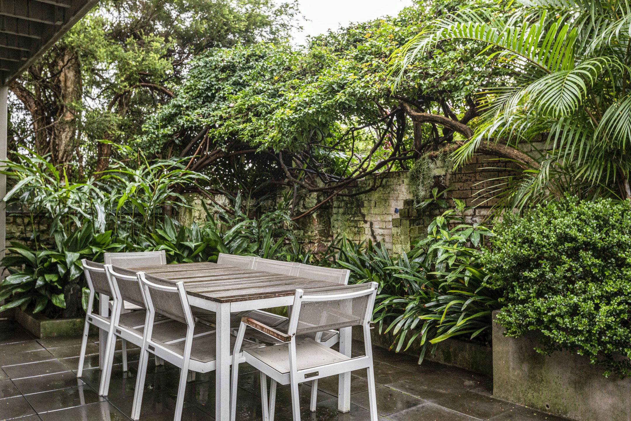 garden