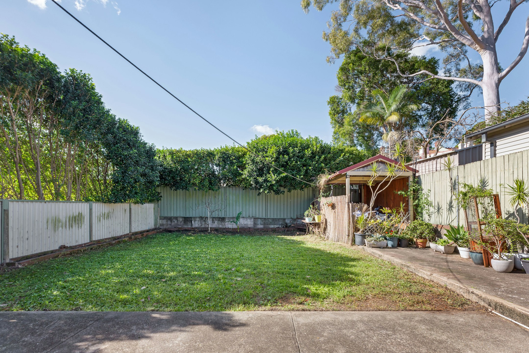 backyard