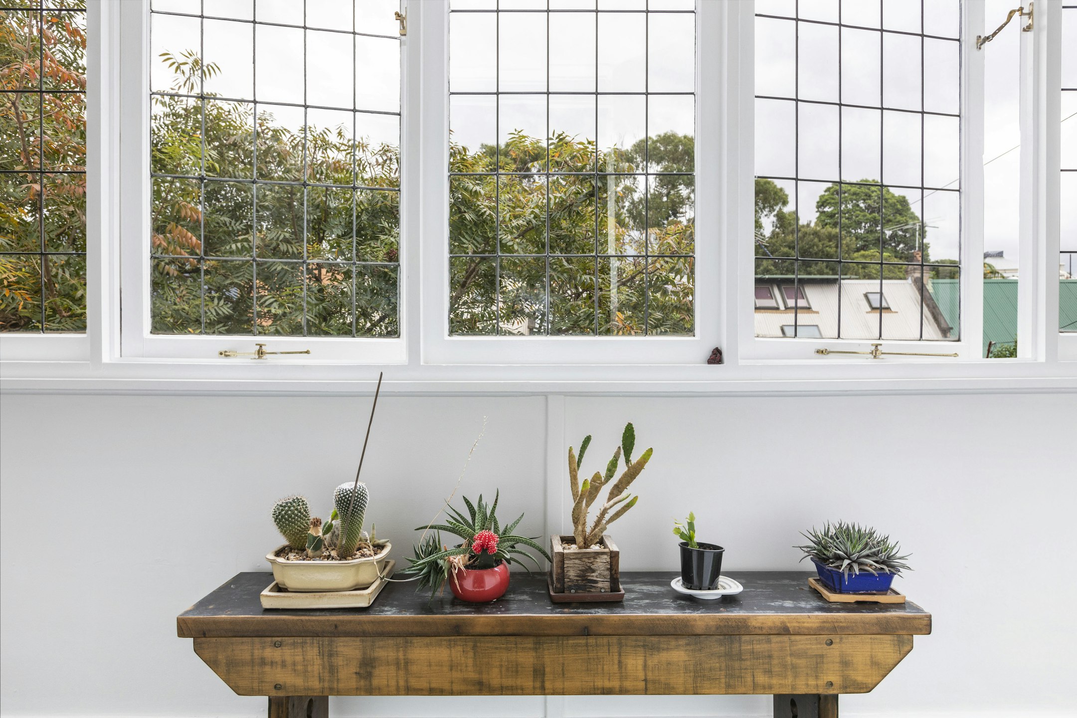 window