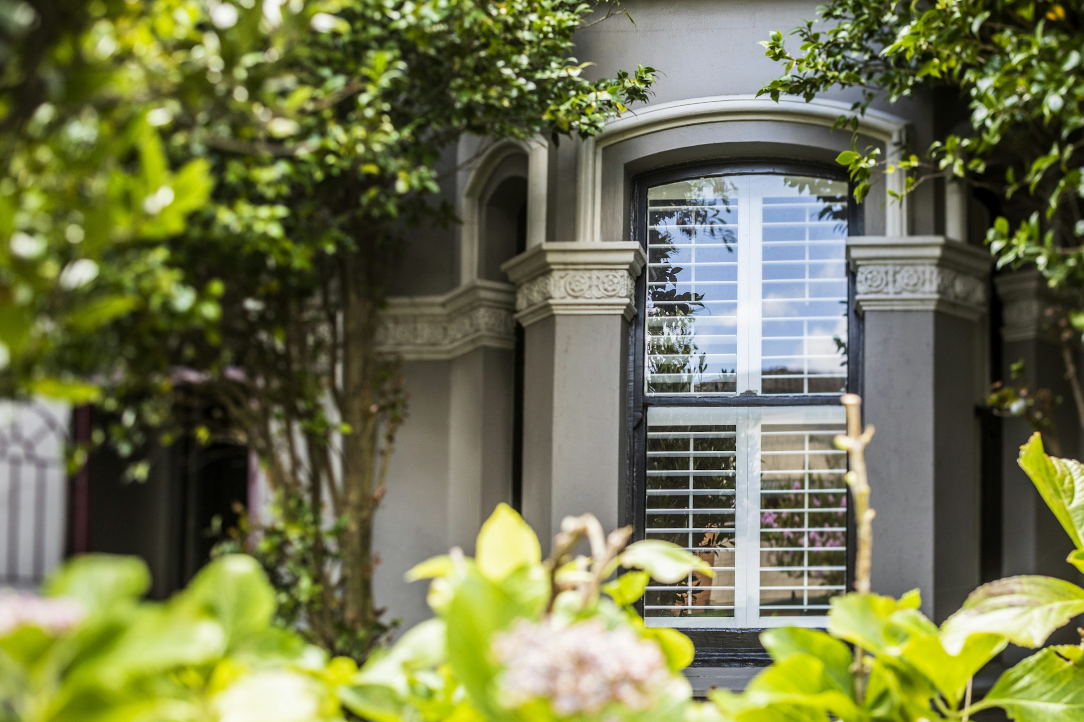 window