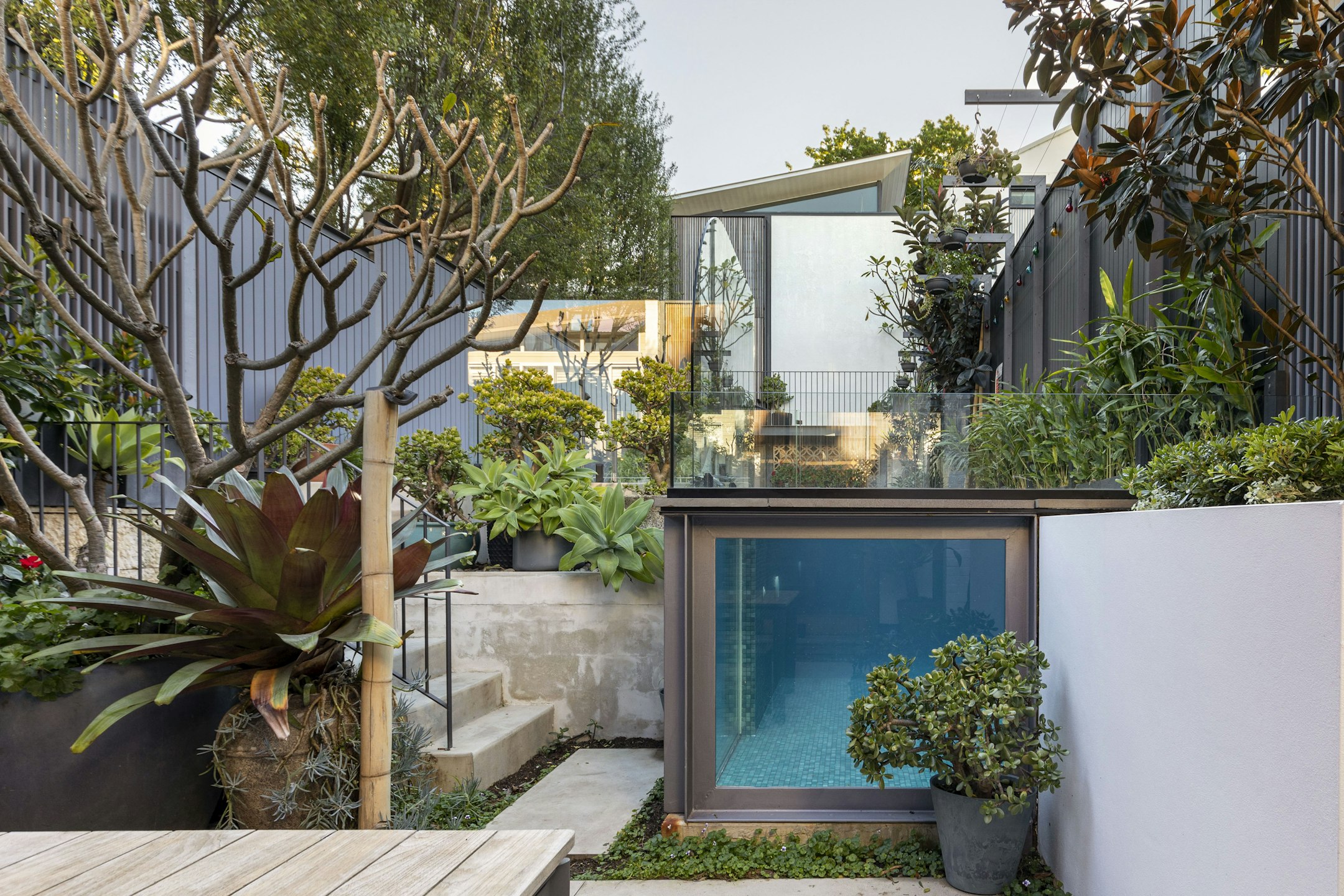 garden