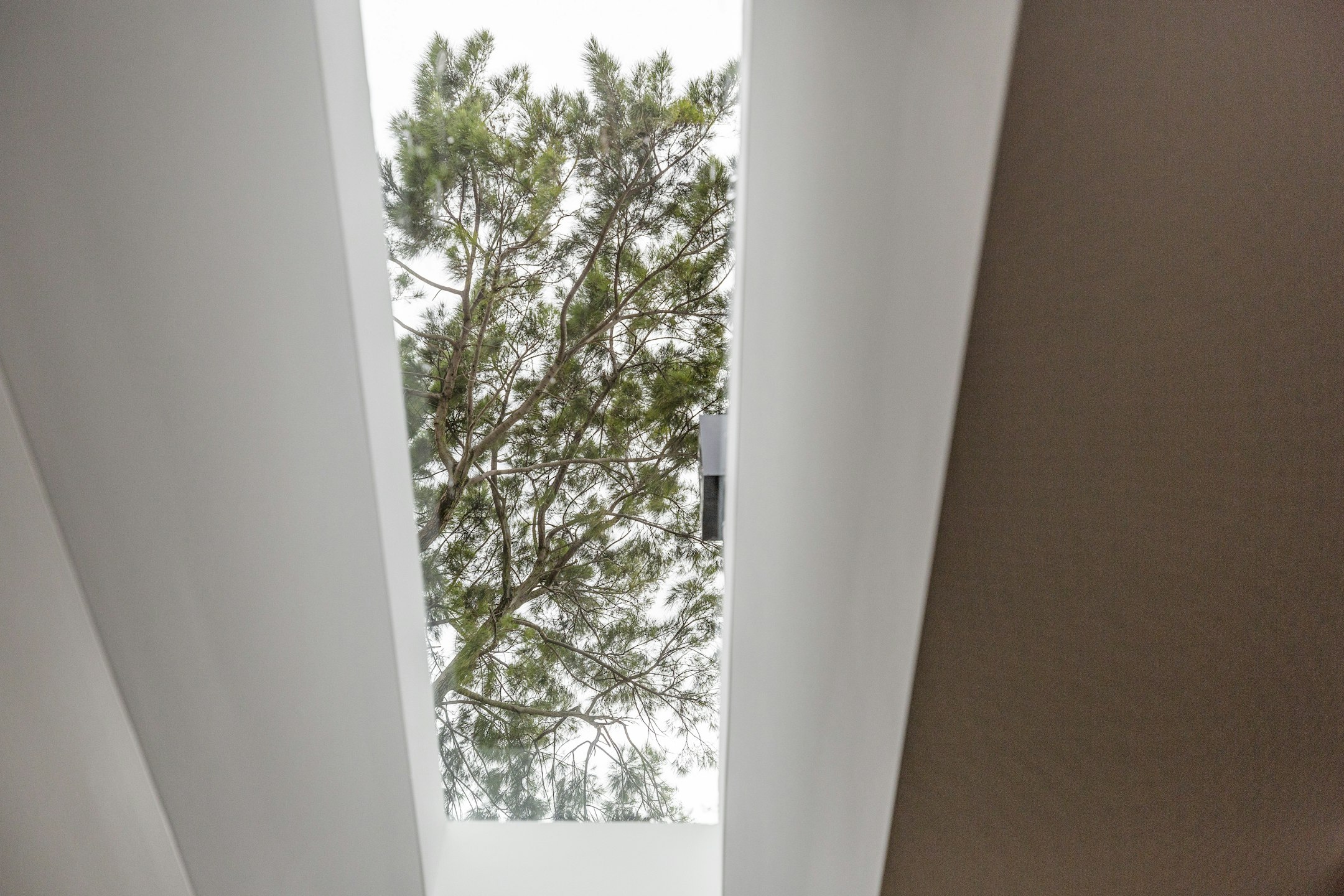 architecture