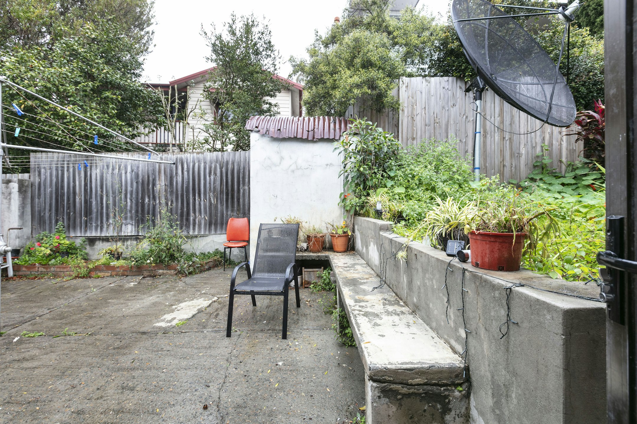 backyard