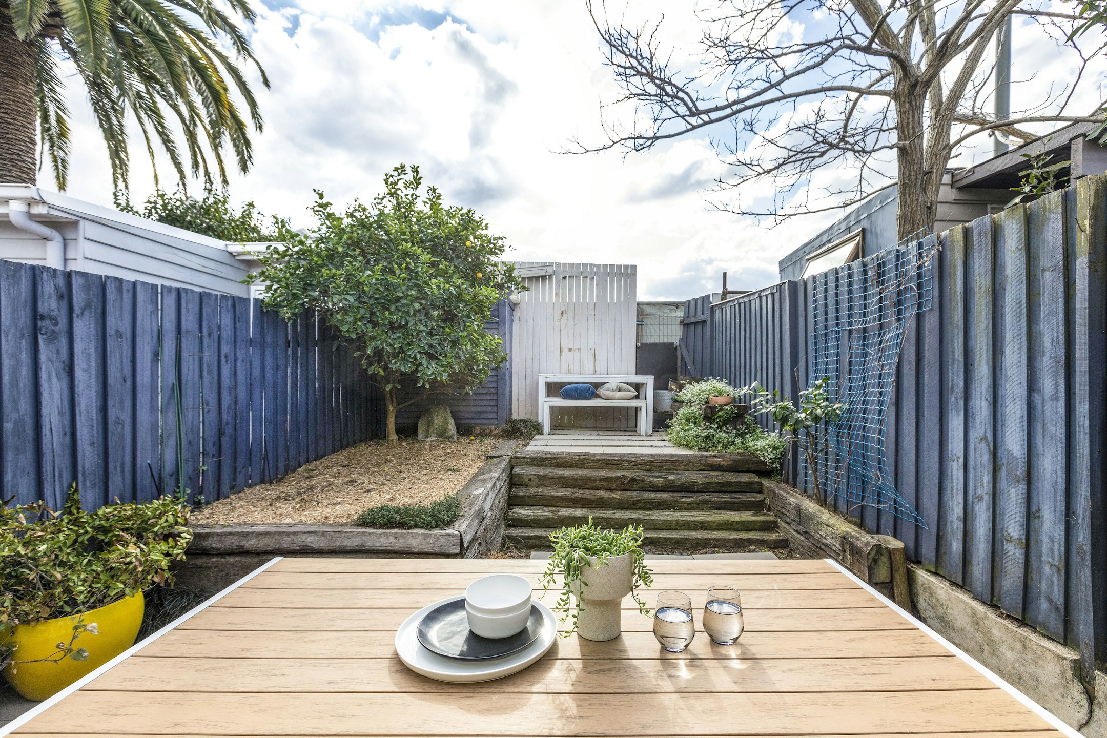 backyard