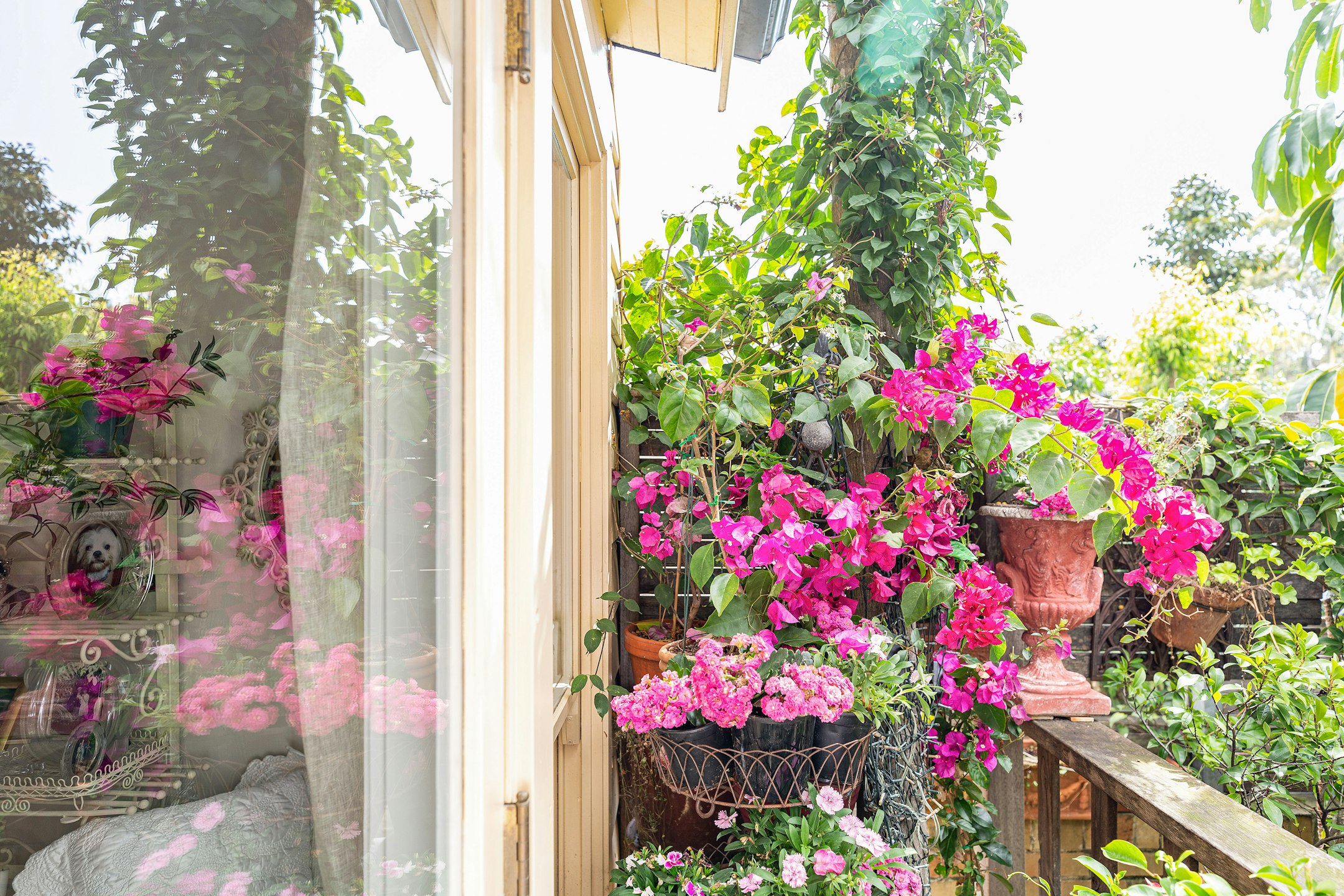 garden