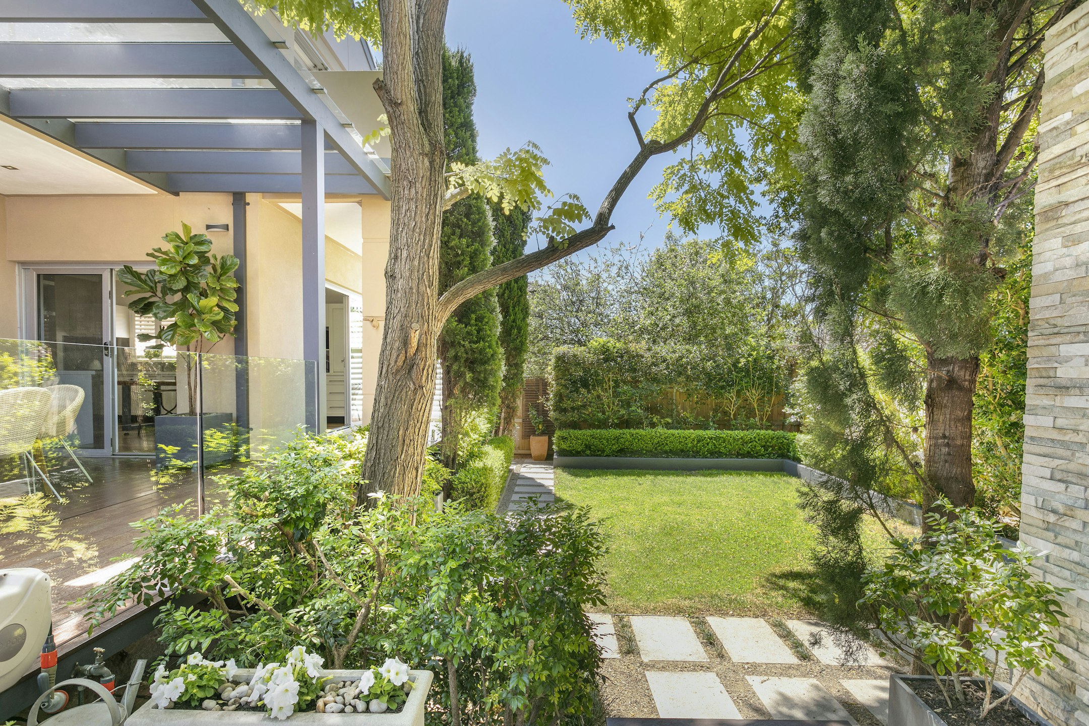 backyard