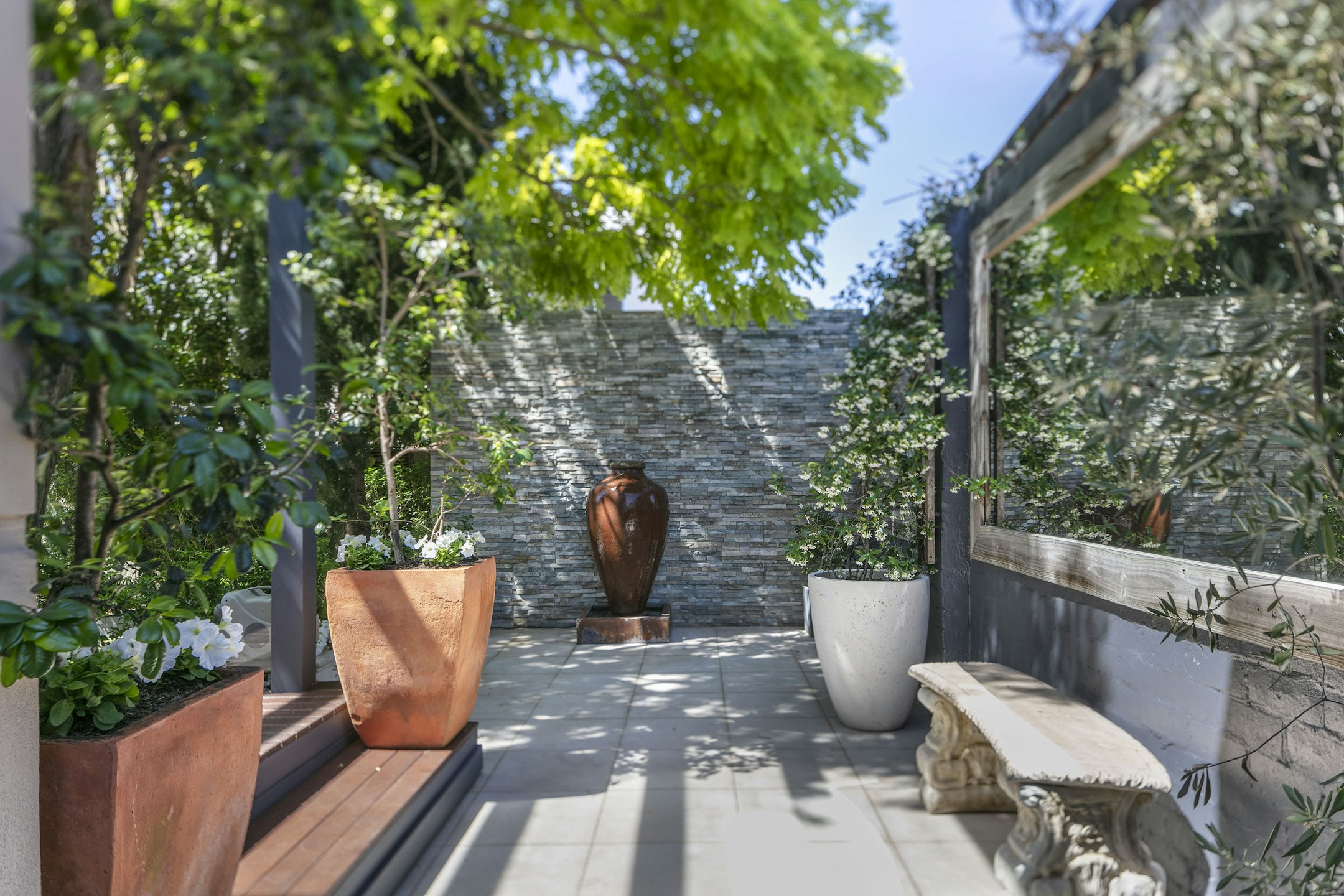 plant