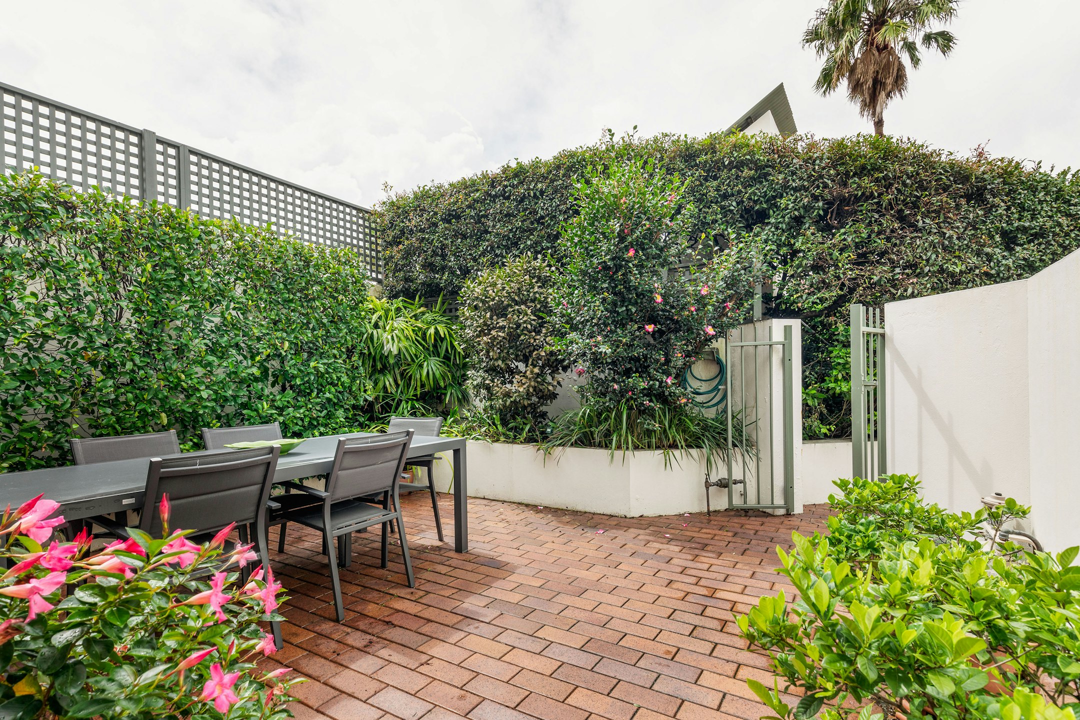 garden