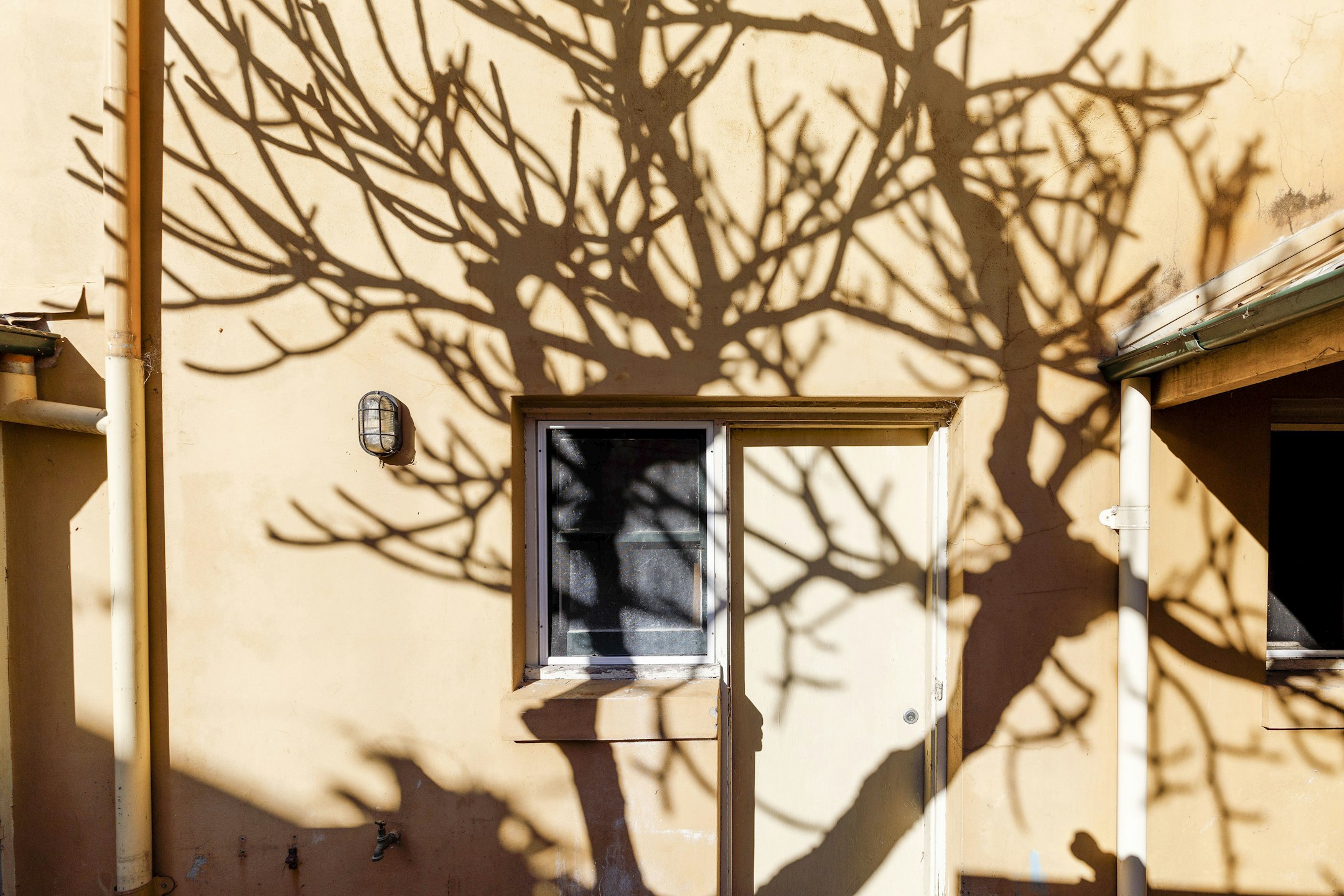 architecture