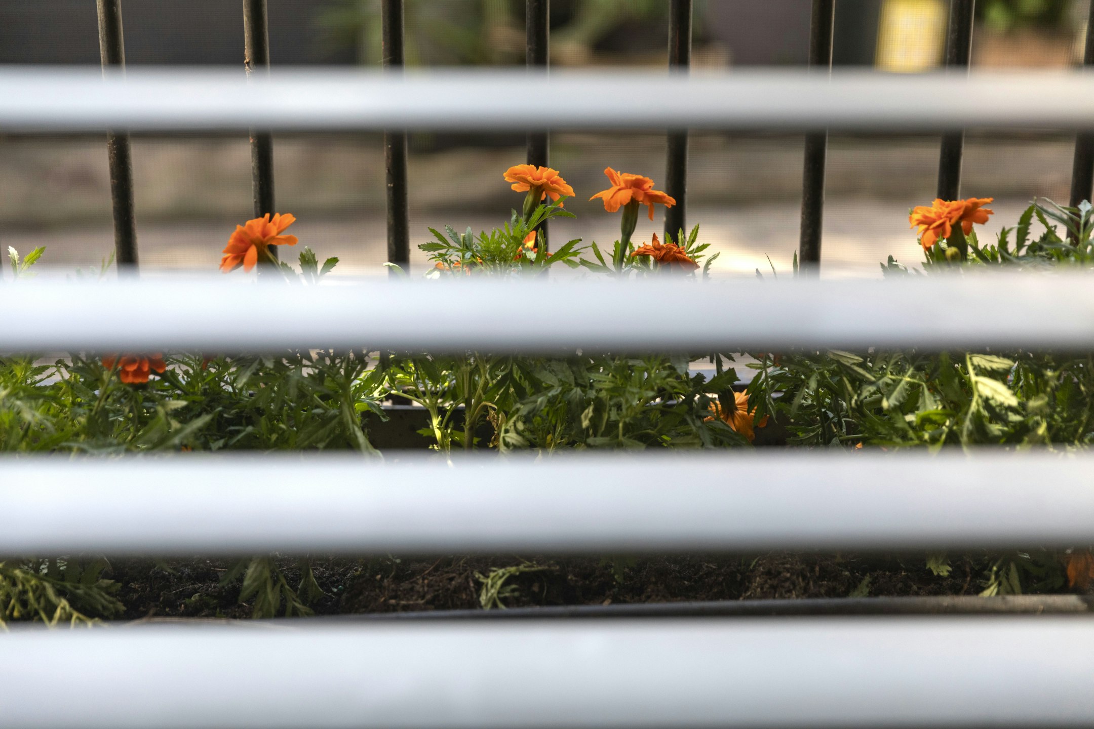 railing