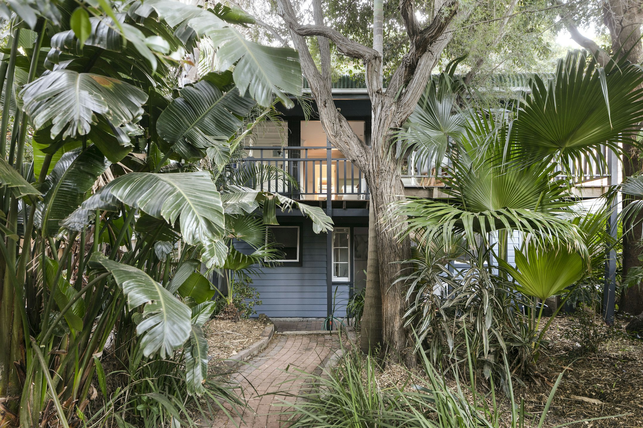 vegetation