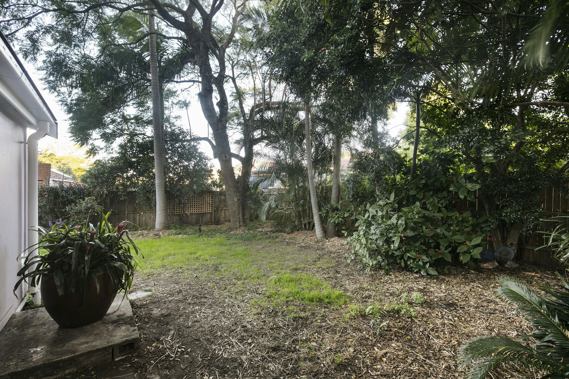 garden