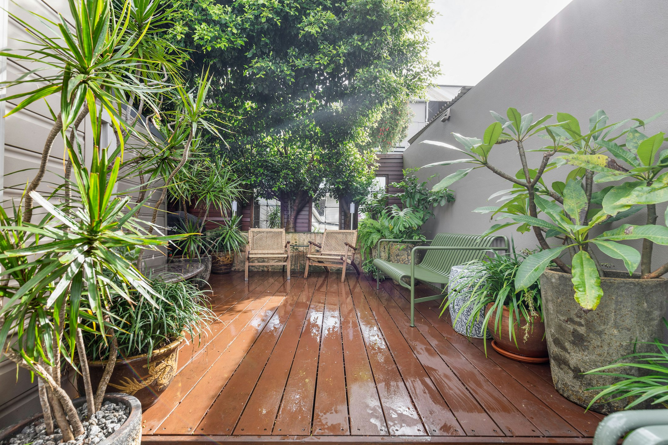garden