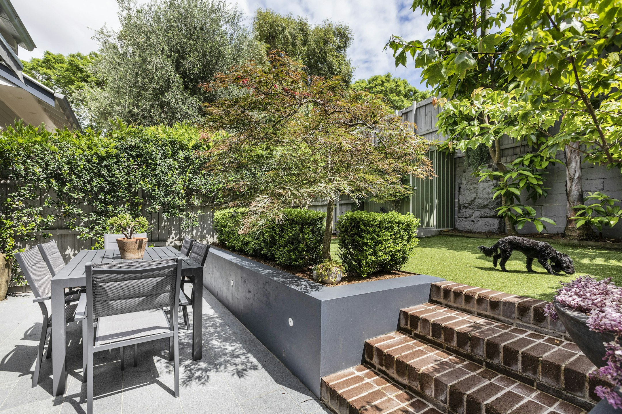 backyard