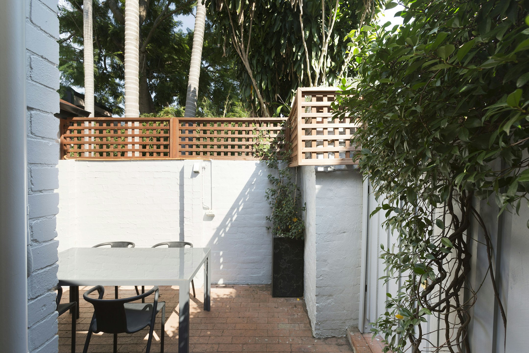 garden
