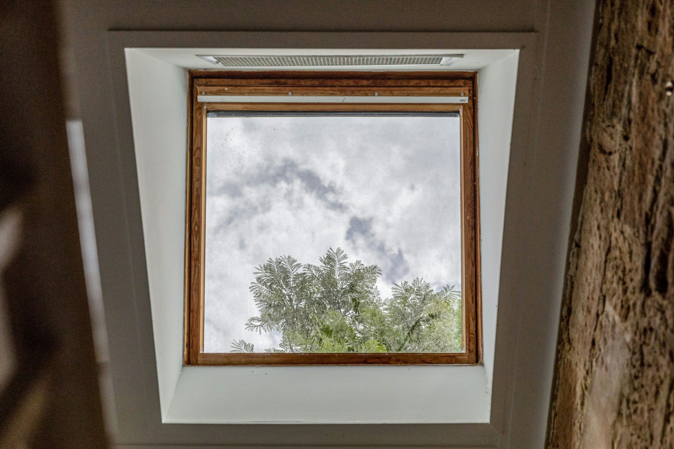 window