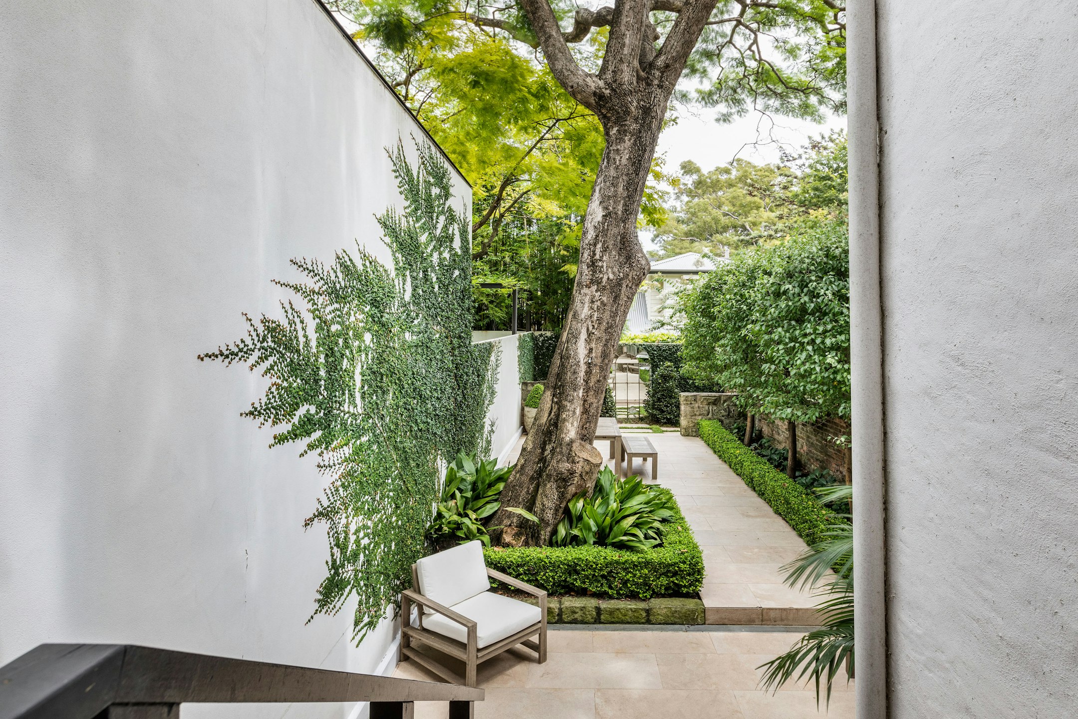 garden