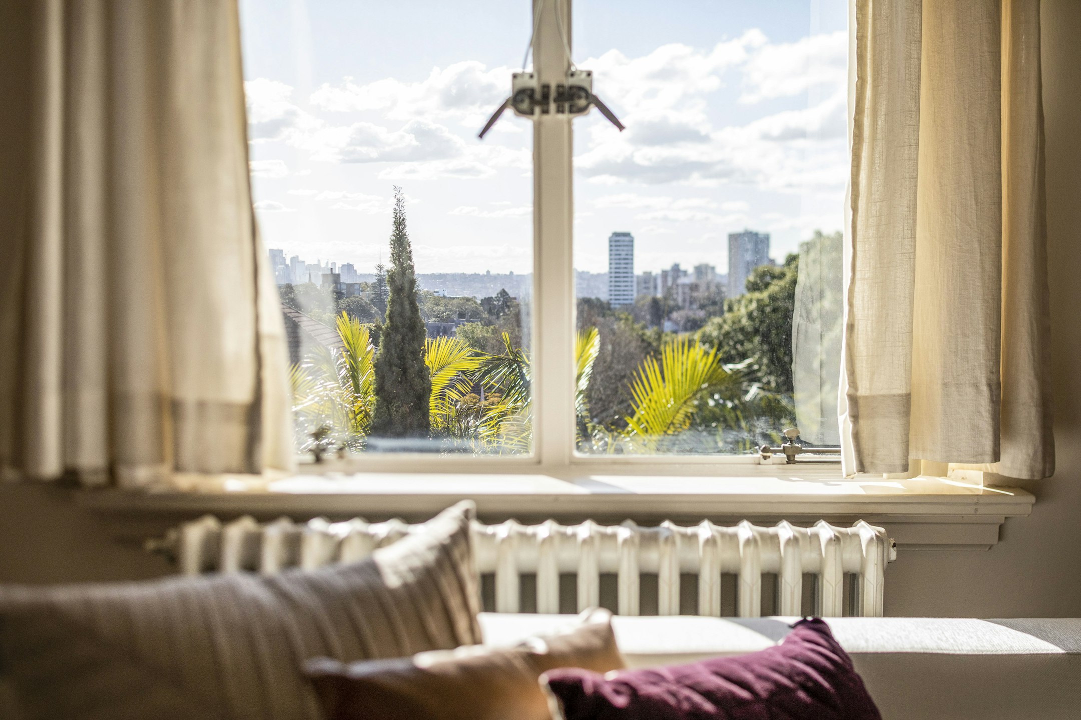 window