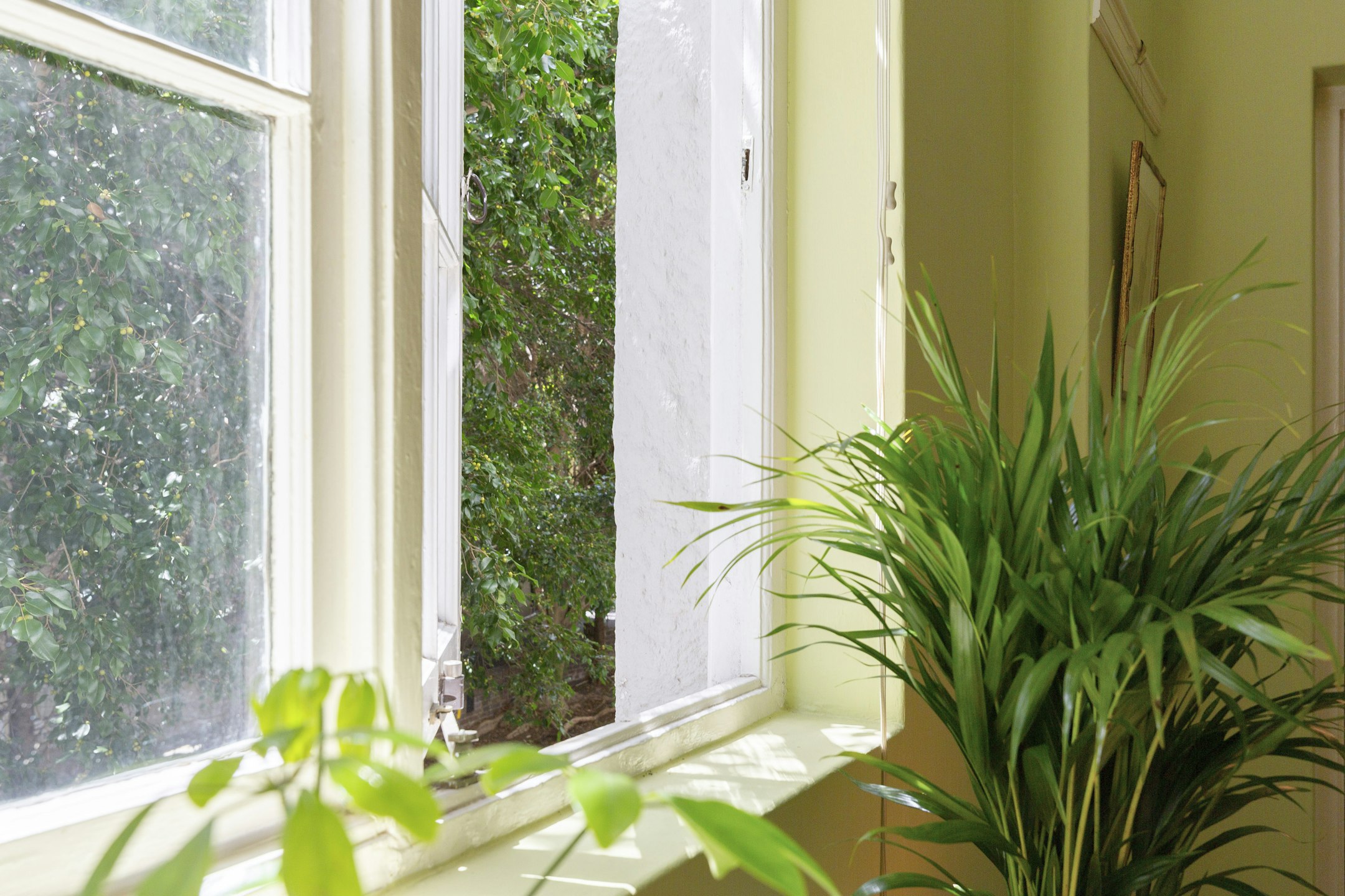 window