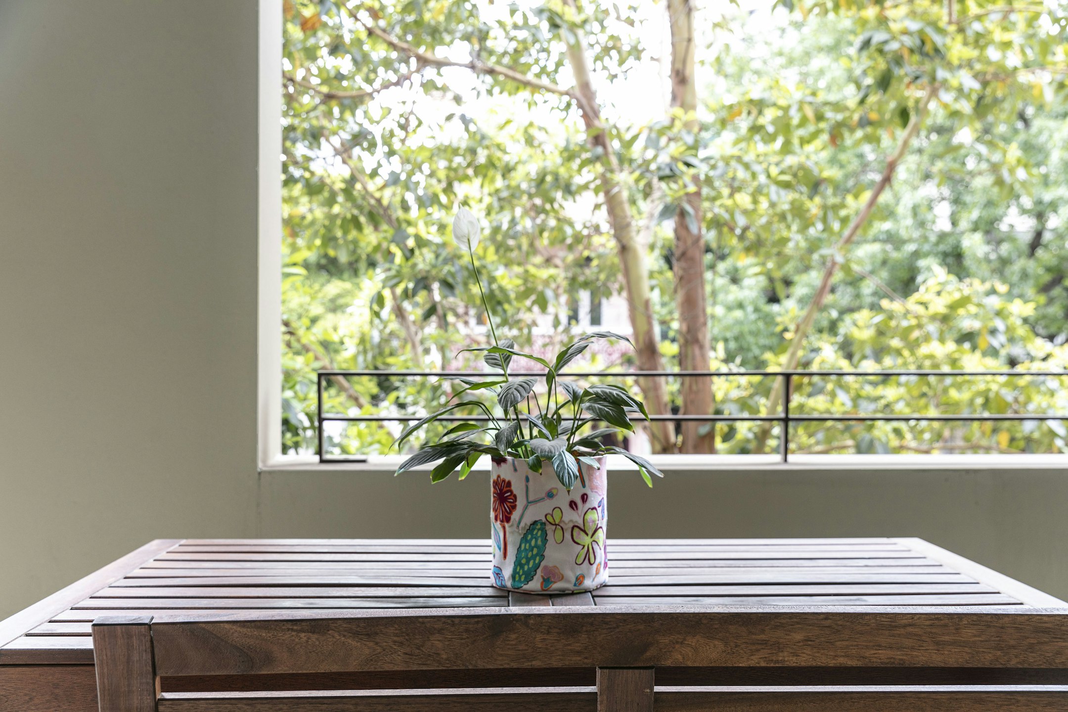 window