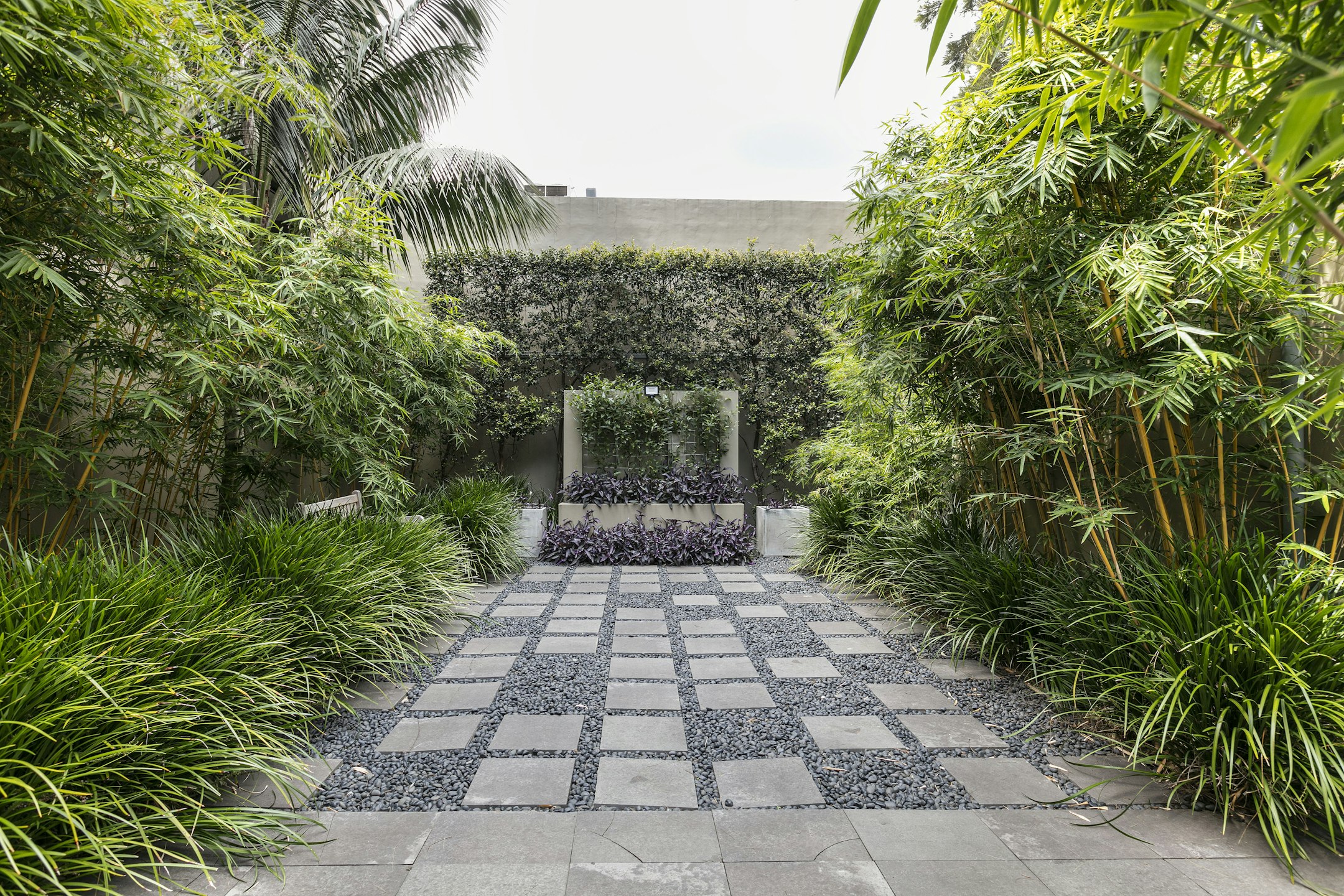 garden