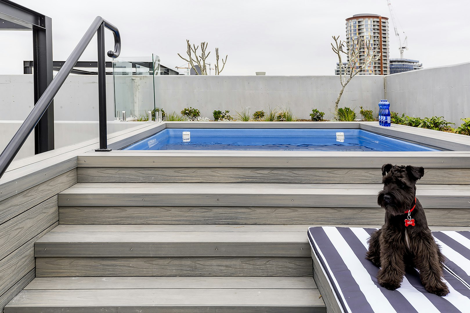 pool