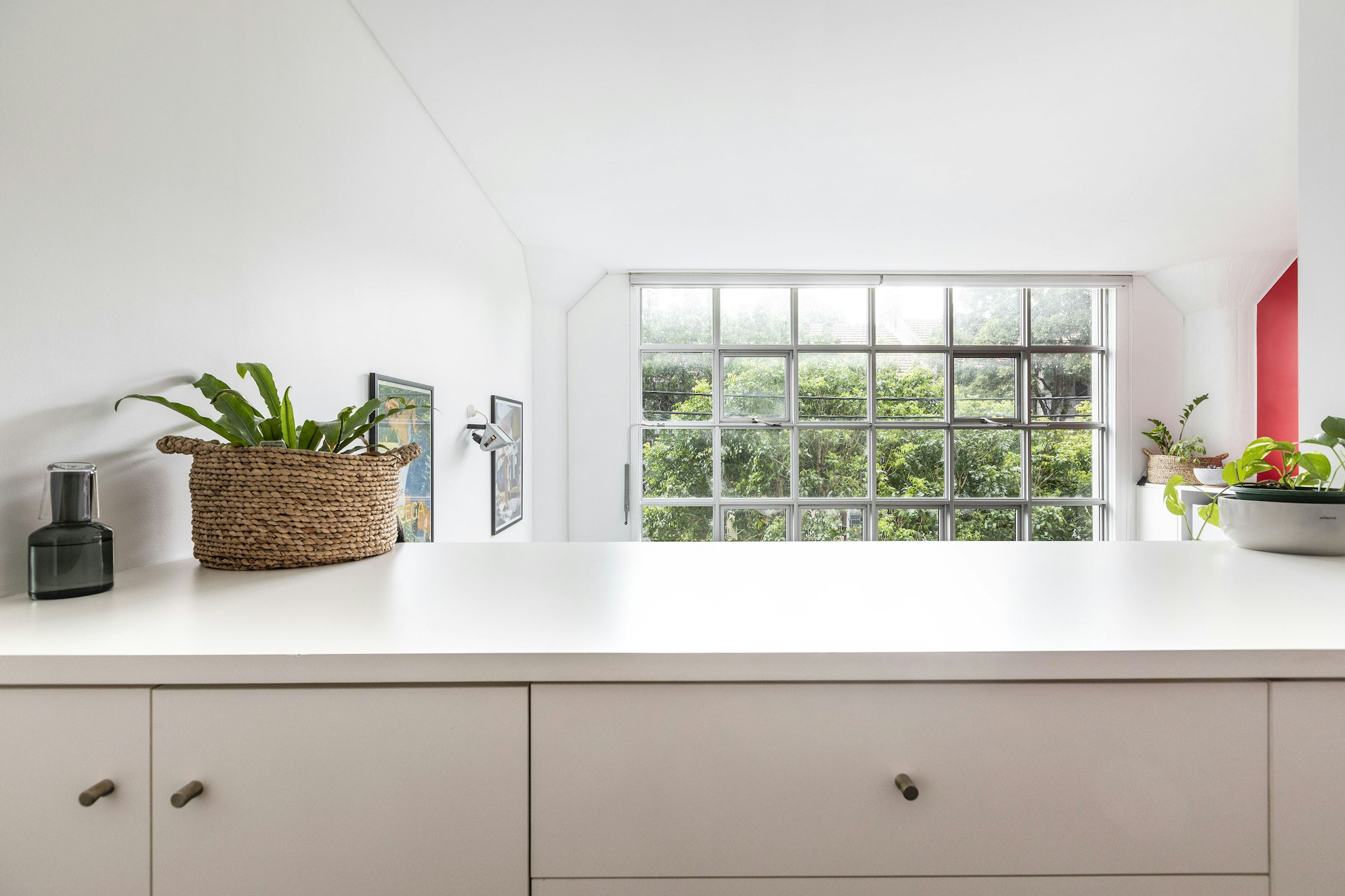 window