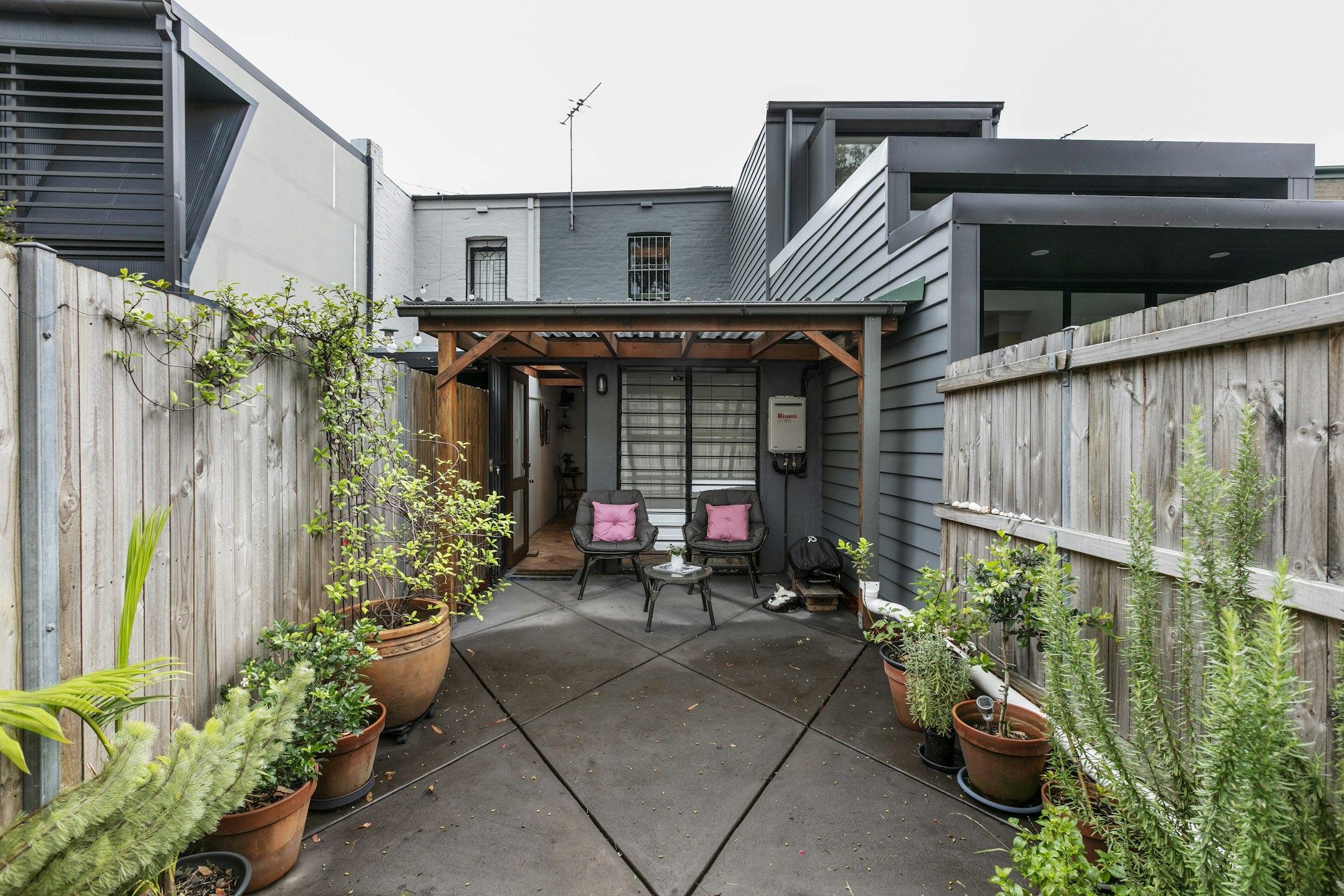 backyard