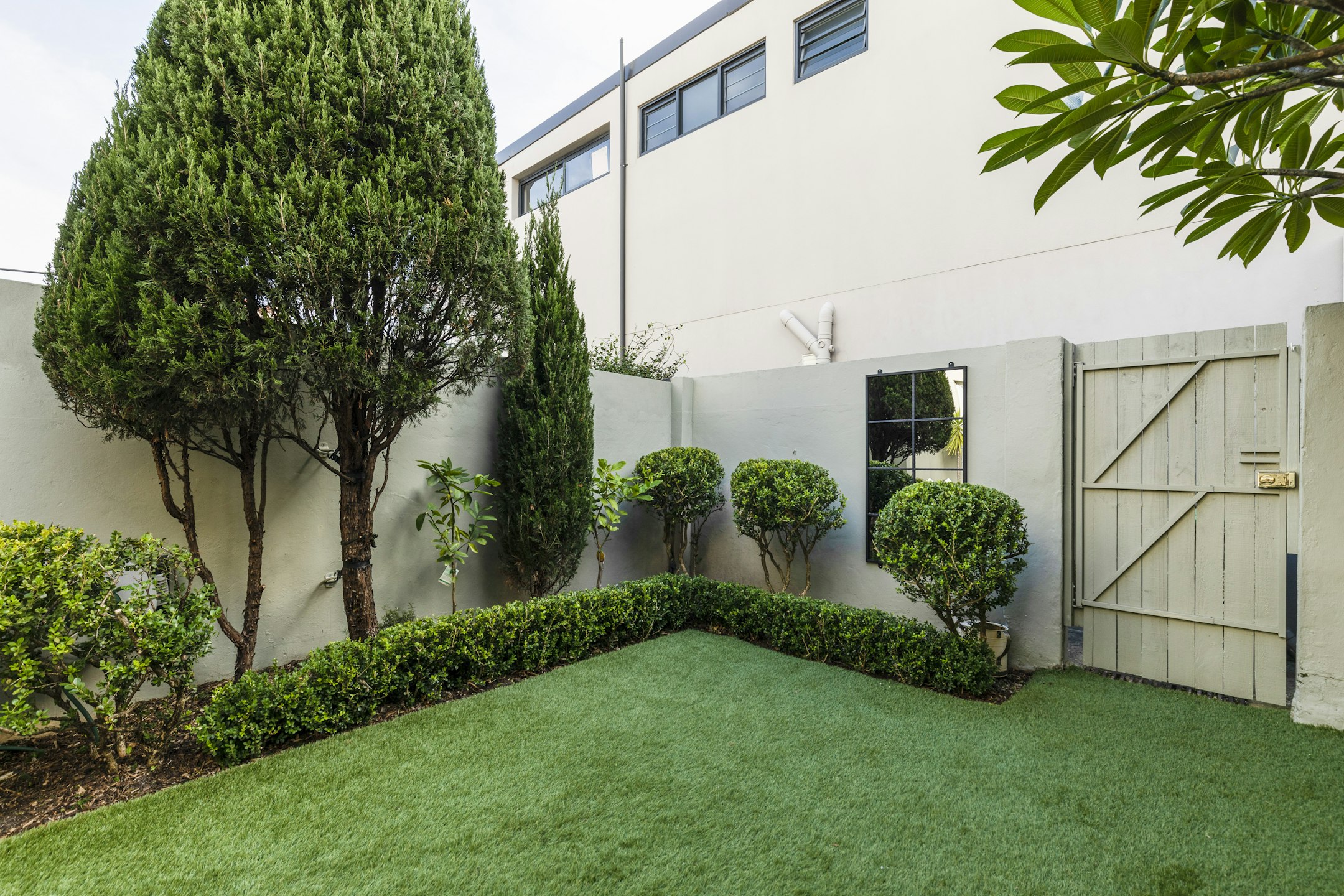 grass