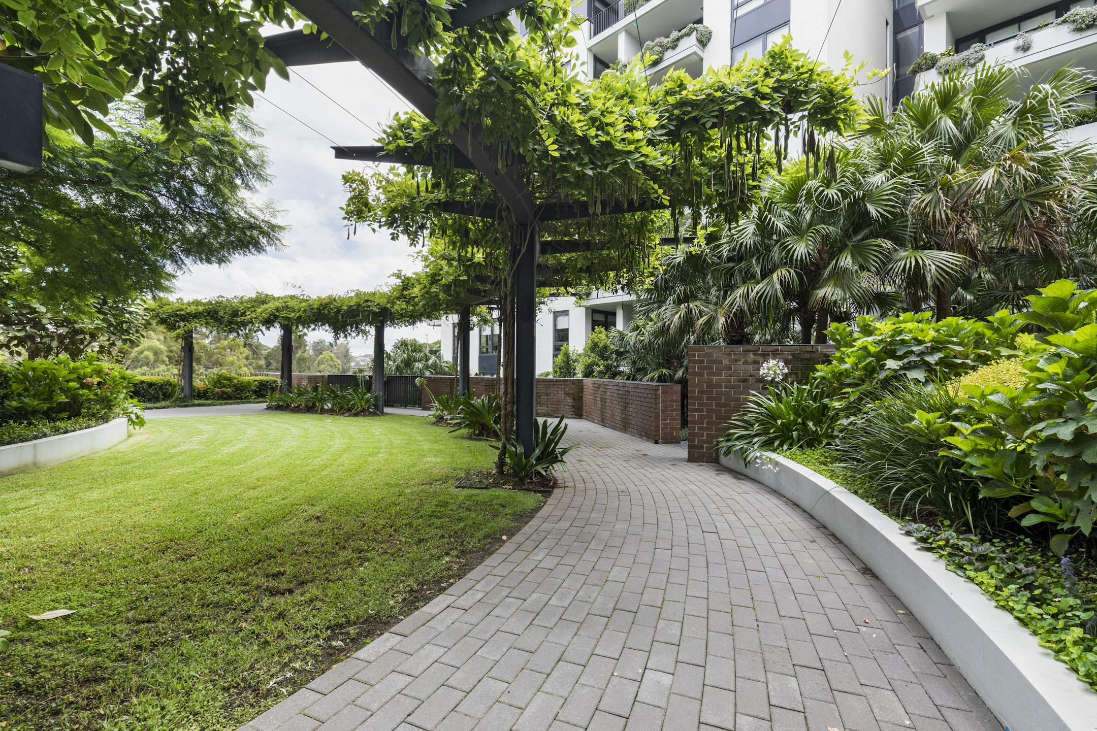 garden