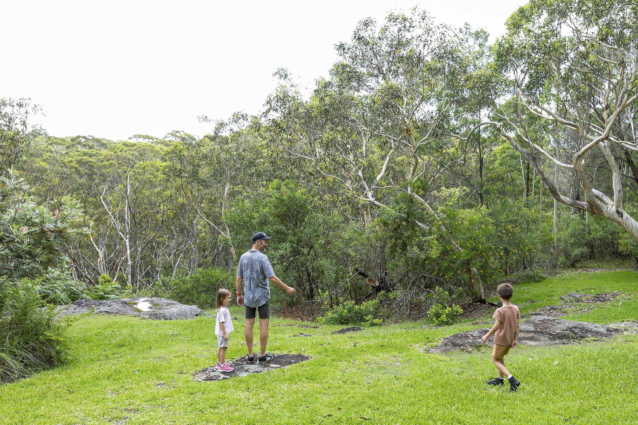 vegetation