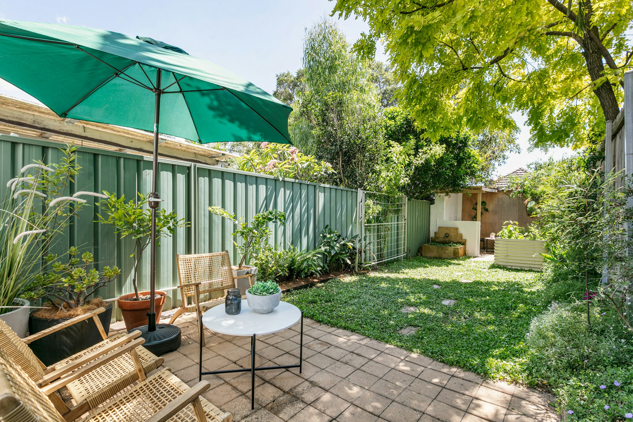 backyard