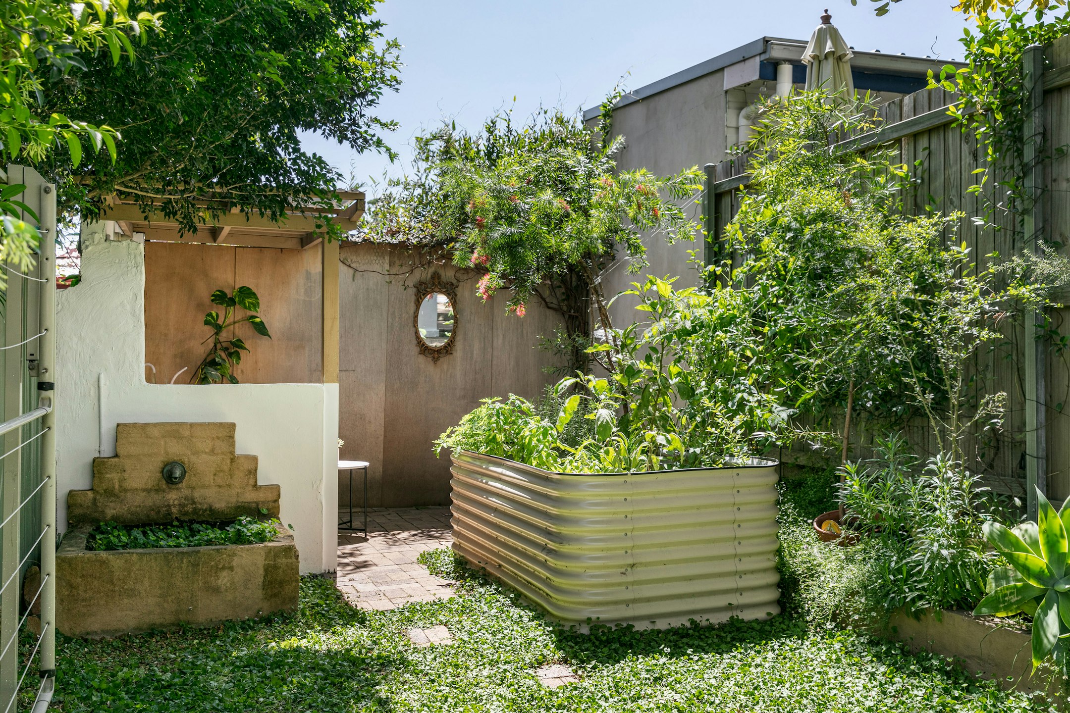 garden
