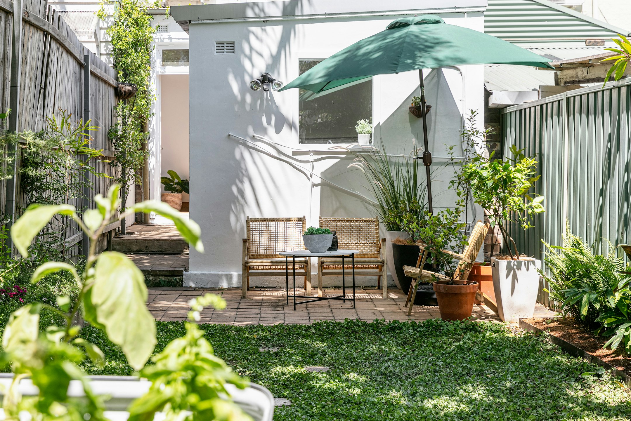 backyard