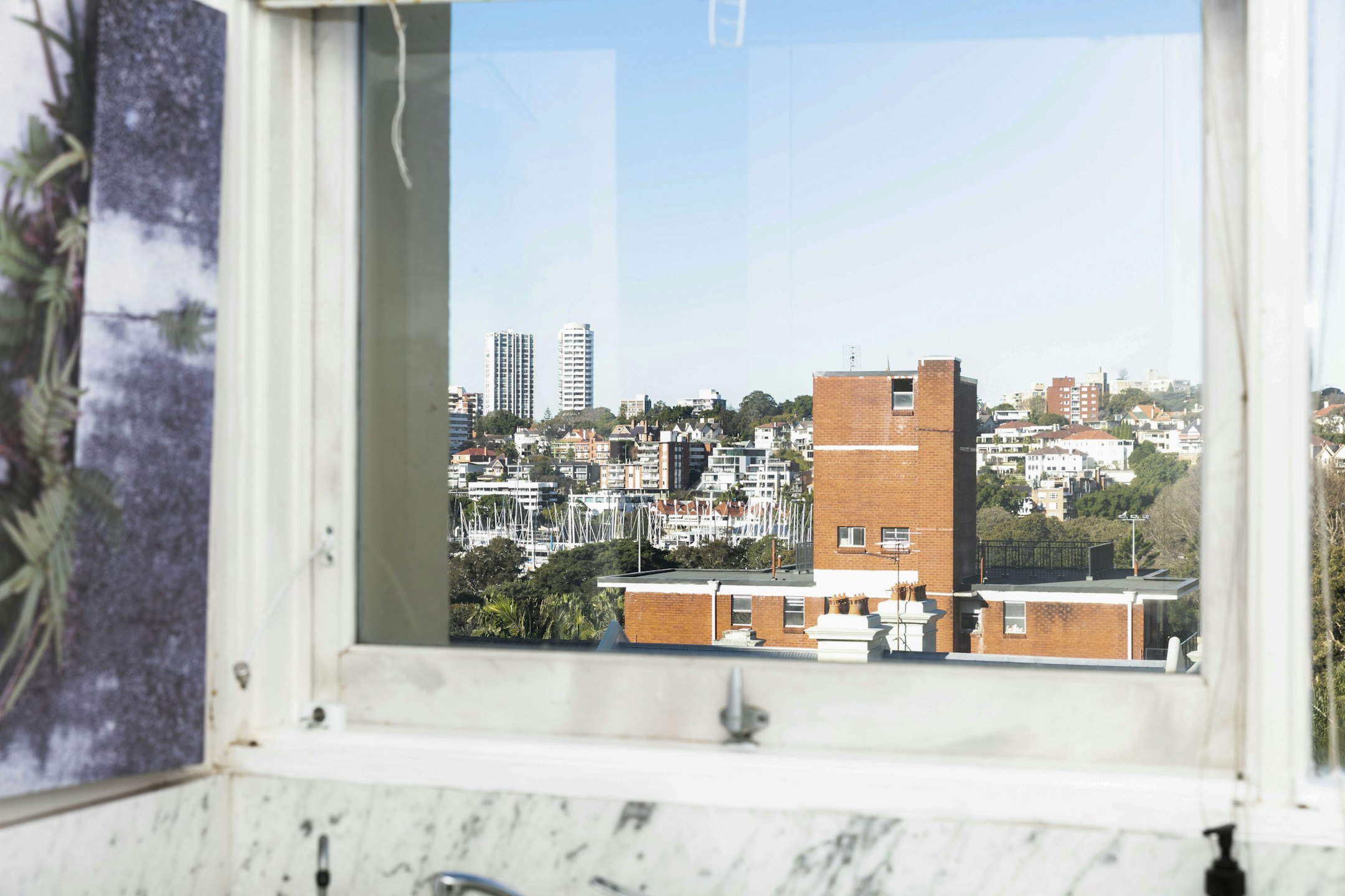 window