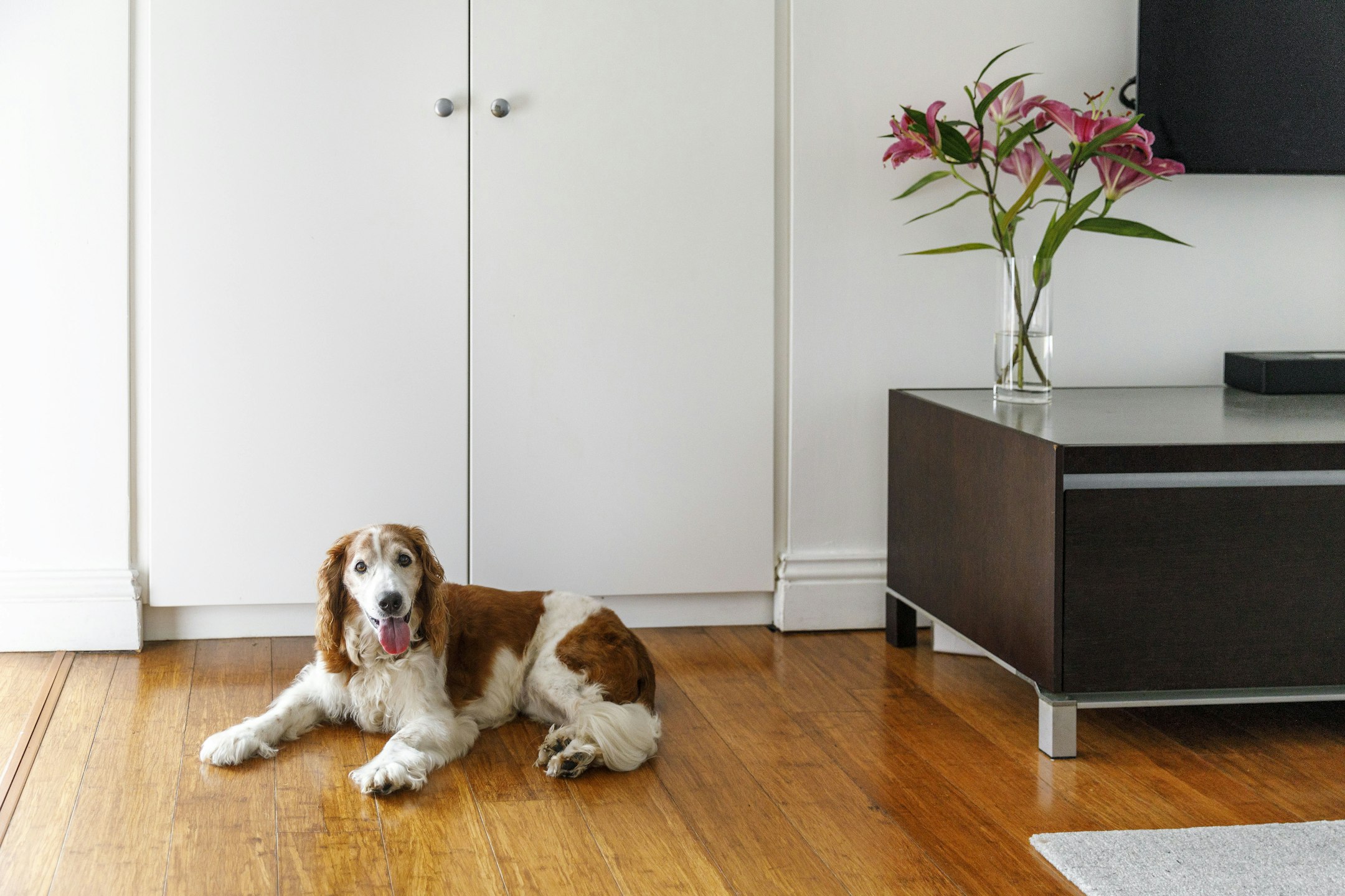 hardwood
