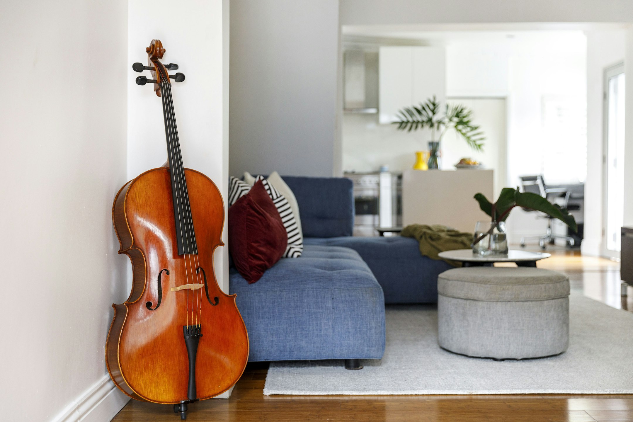 musical instrument