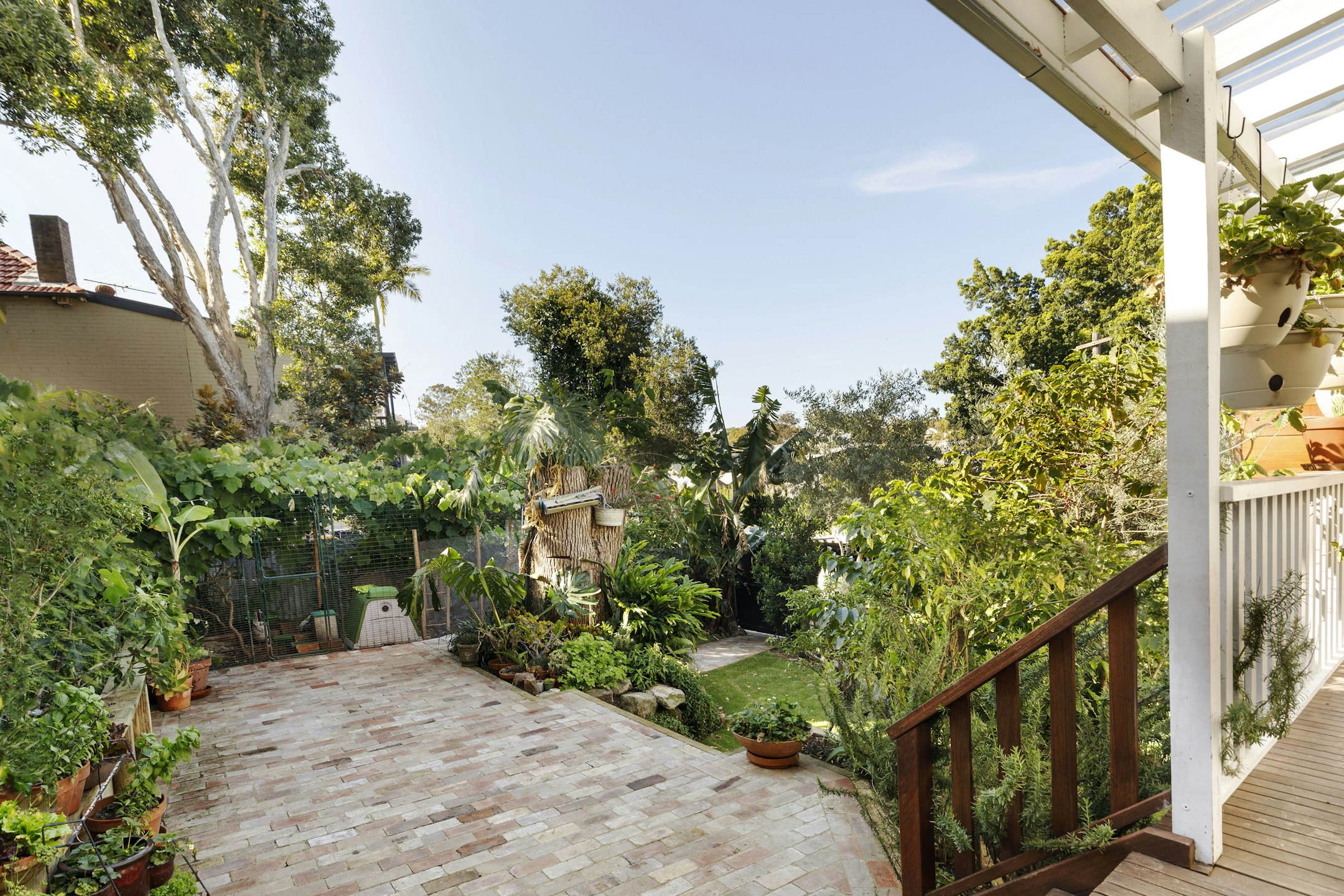 garden