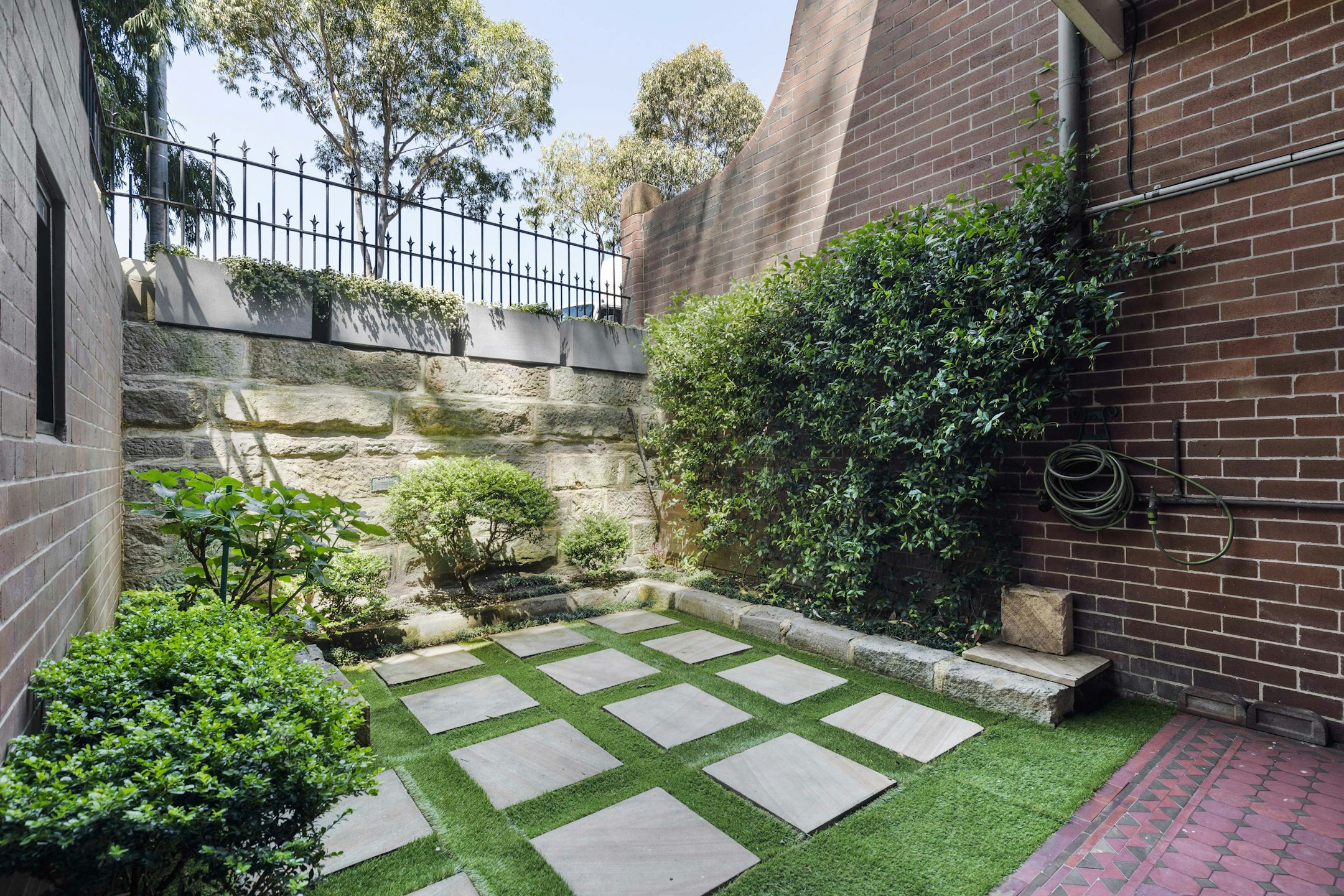 backyard