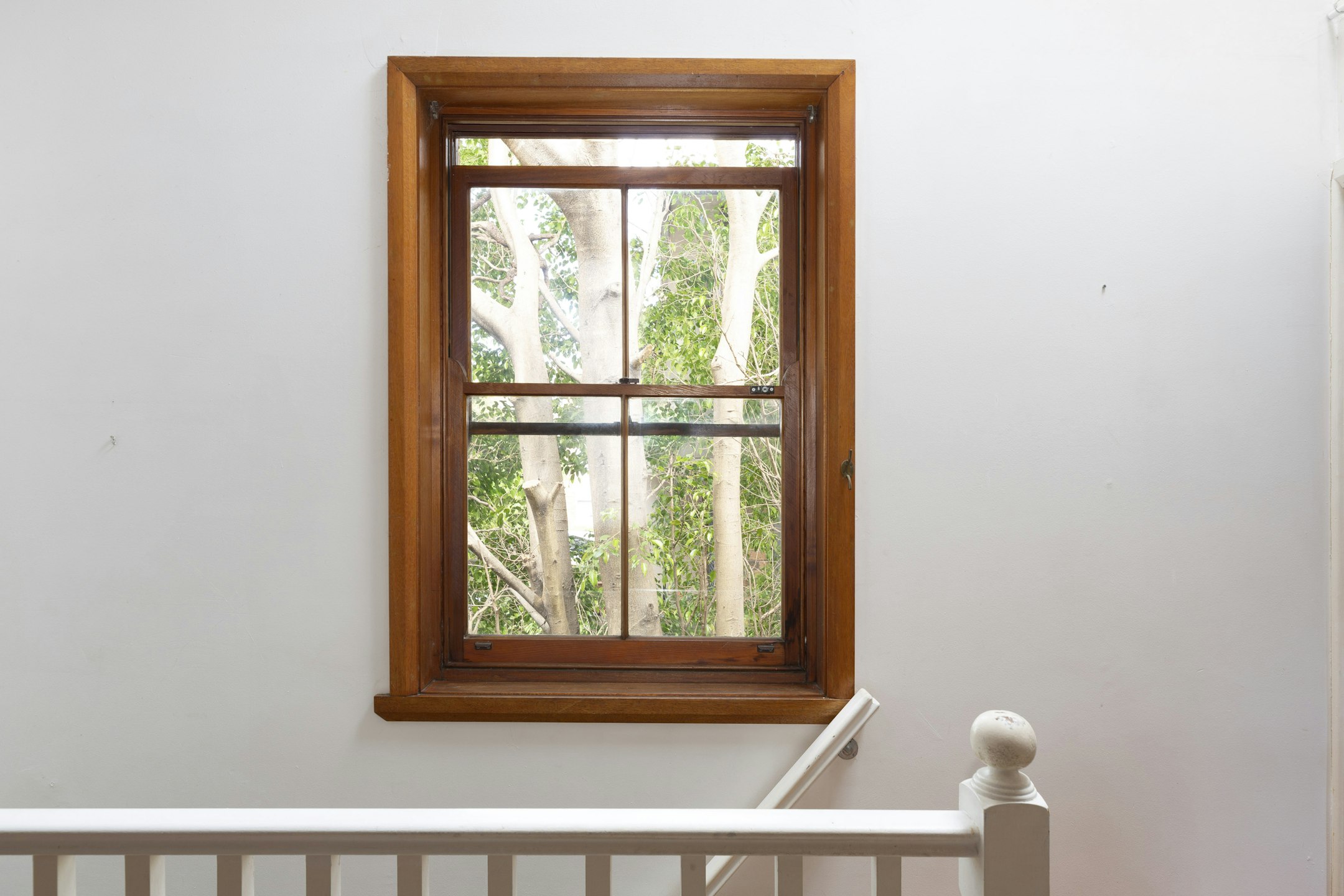 window