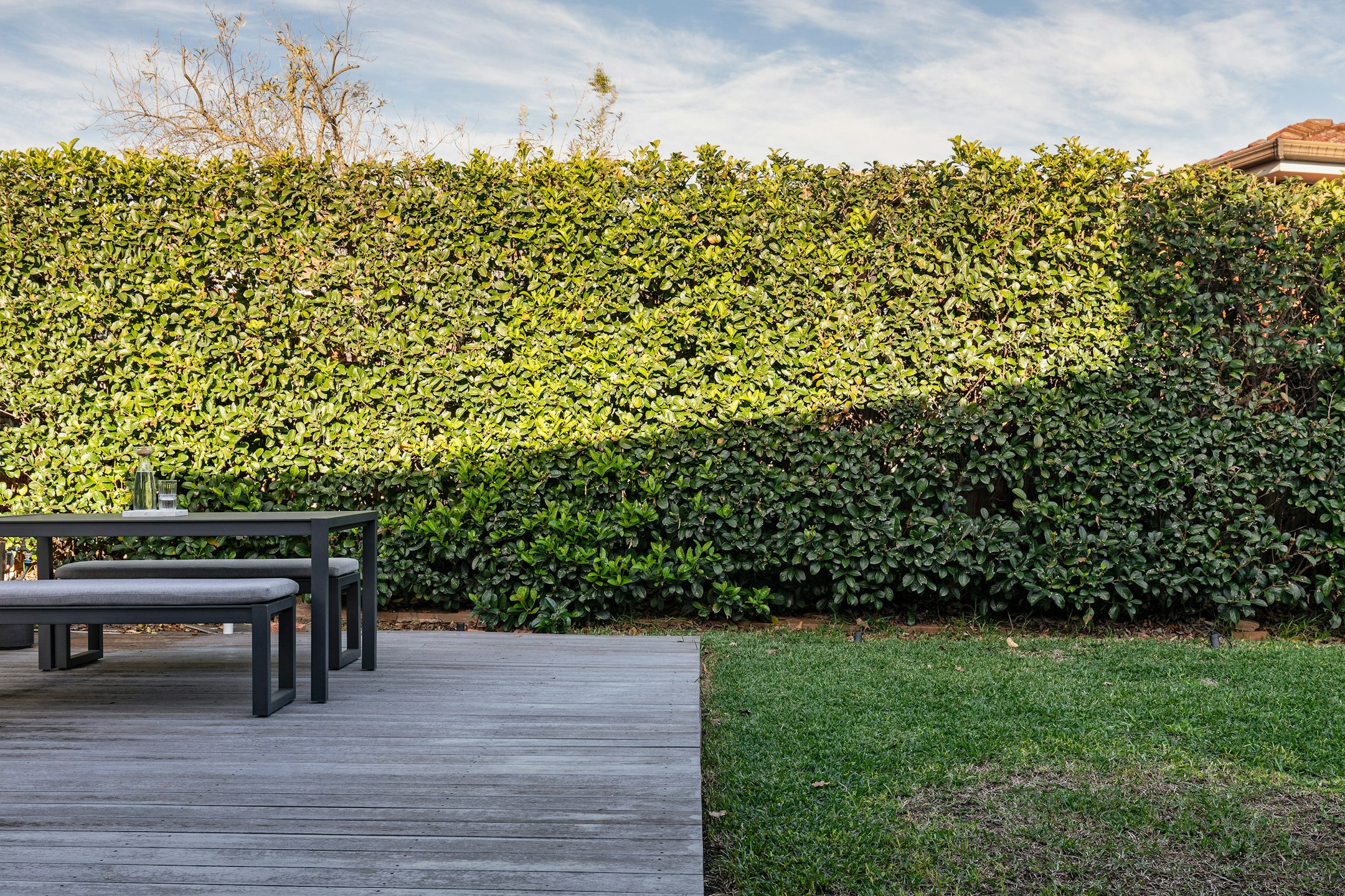 fence